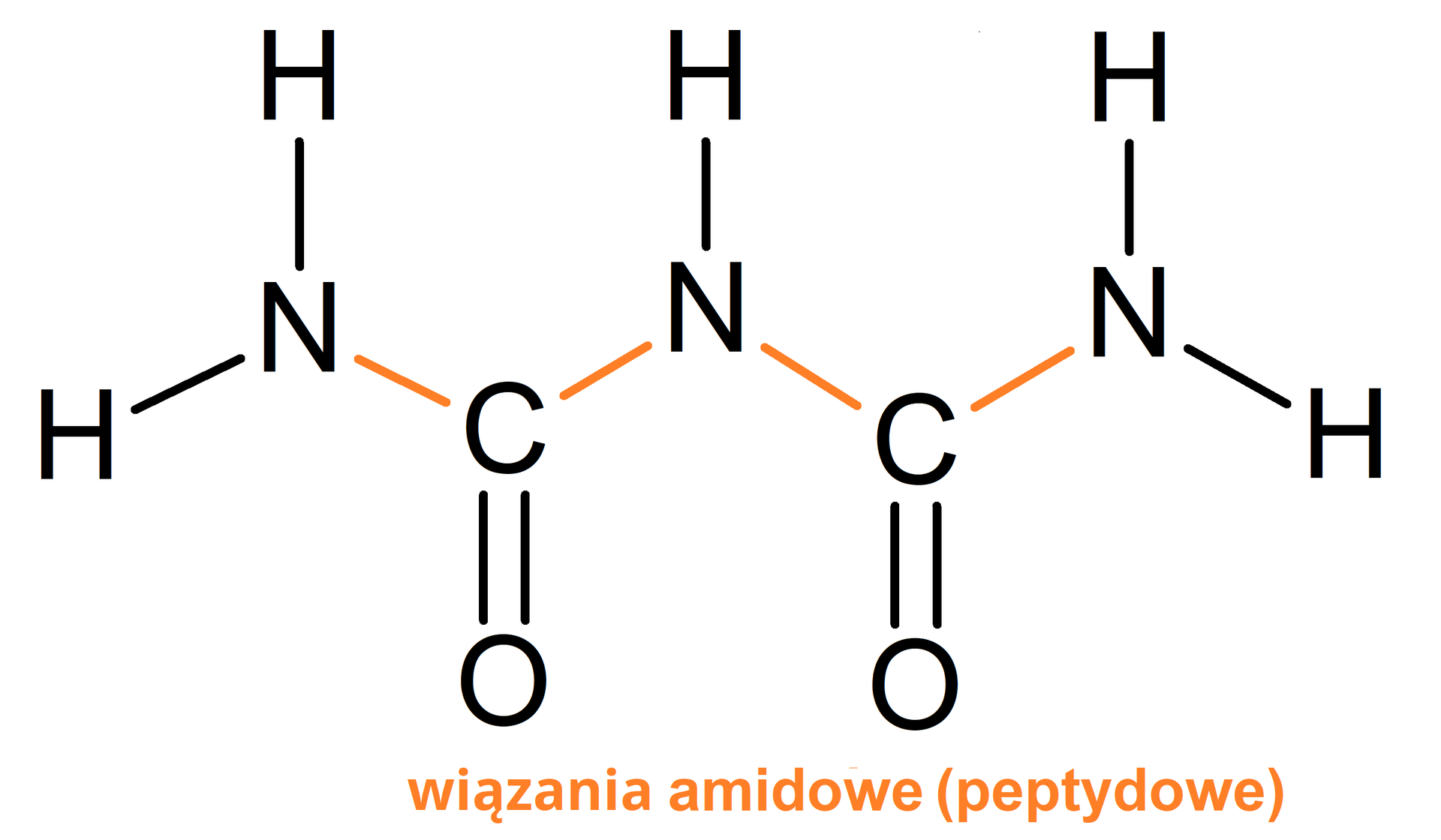 Ilustracja przedstawiająca wzór strukturalny biuretu, który to jest dimerem mocznika. Związek ten zbudowany jest z grupy NH2 połączonej z atomem węgla, który to łączy się za pomocą wiązania podwójnego z atomem tlenu oraz za pomocą wiązania pojedynczego z grupą NH. Grupa ta związana jest z kolejnym atomem węgla również połączonym za pomocą wiązania podwójnego z atomem tlenu oraz za pomocą wiązania pojedynczego z grupą NH2. Wiązania pojedyncze pomiędzy atomami azotu oraz grupami C wiązanie podwójne O, to wiązania amidowe (peptydowe). Zatem w omawianej strukturze znajdują się cztery takie wiązania. 