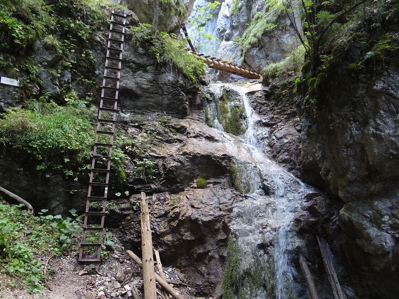 Fotografia pionowej skalnej ściany. Z góry biegnie wodospad. Po lewej stronie drabina przeznaczona dla wspinających się turystów. Gdzieniegdzie ze skał wyrasta drobna roślinność.