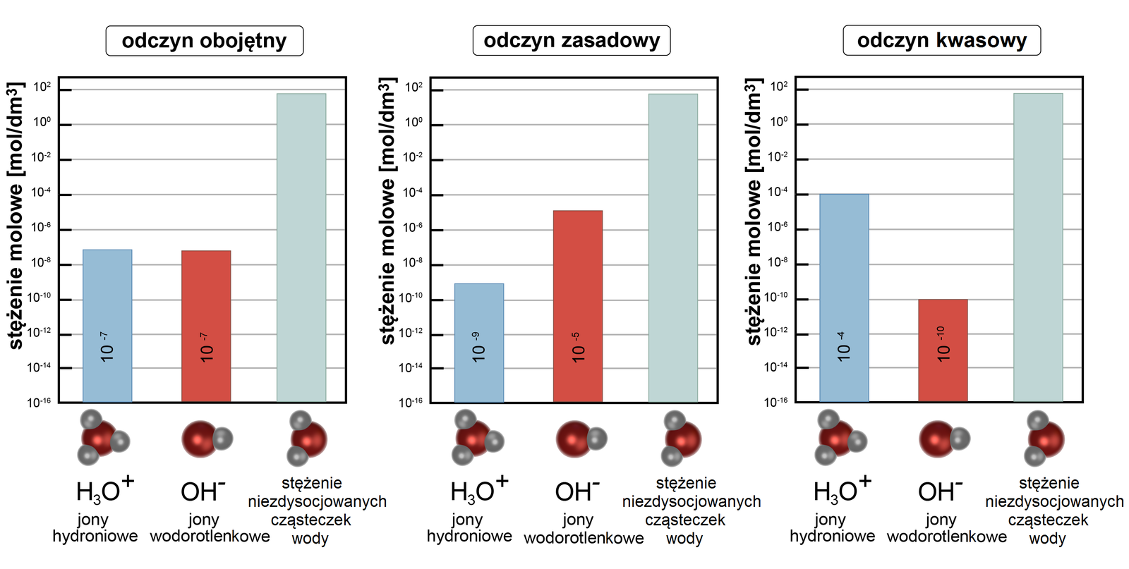 Na trzech wykresach słupkowych przedstawiono przykładowe stężenia jonów oksoniowych, hydroniowych, H3O+ i wodorotlenowych, hydroksylowych OH-, a także niezdysocjowanych cząsteczek wody H2O, których stężenie na każdym wykresie jest takie samo, w zależności od odczynu roztworu w temperaturze 25 stopni Celsjusza. Na pierwszym wykresie odczyn obojętny, po lewej, stężenia jonów są sobie równe, co reprezentują dwa pierwsze słupki i wynoszą 10-7 mol na decymetr sześcienny. Stężenie niezdysocjowanych cząsteczek wody reprezentowanych przez ostatni słupek wynosi 102. Na drugim wykresie przy odczynie zasadowym stężenie jonów hydroniowych H3O+ reprezentowanych przez pierwszy słupek wynosi 10-9 mol na decymetr sześcienny i jest mniejsze od stężenia jonów hydroksylowych, wodorotlenowych reprezentowanego przez drugi słupek i wynoszącego 10-5 mol na decymetr sześcienny. Na trzecim wykresie, po prawej, odczyn kwasowy, gdzie stężenie jonów hydroniowych reprezentowanych przez pierwszy słupek wynosi 10-4 mol na decymetr sześcienny i jest większe od stężenia jonów wodorotlenowych reprezentowanego przez drugi słupek i wynoszącego 10-10 mol na decymetr sześcienny.