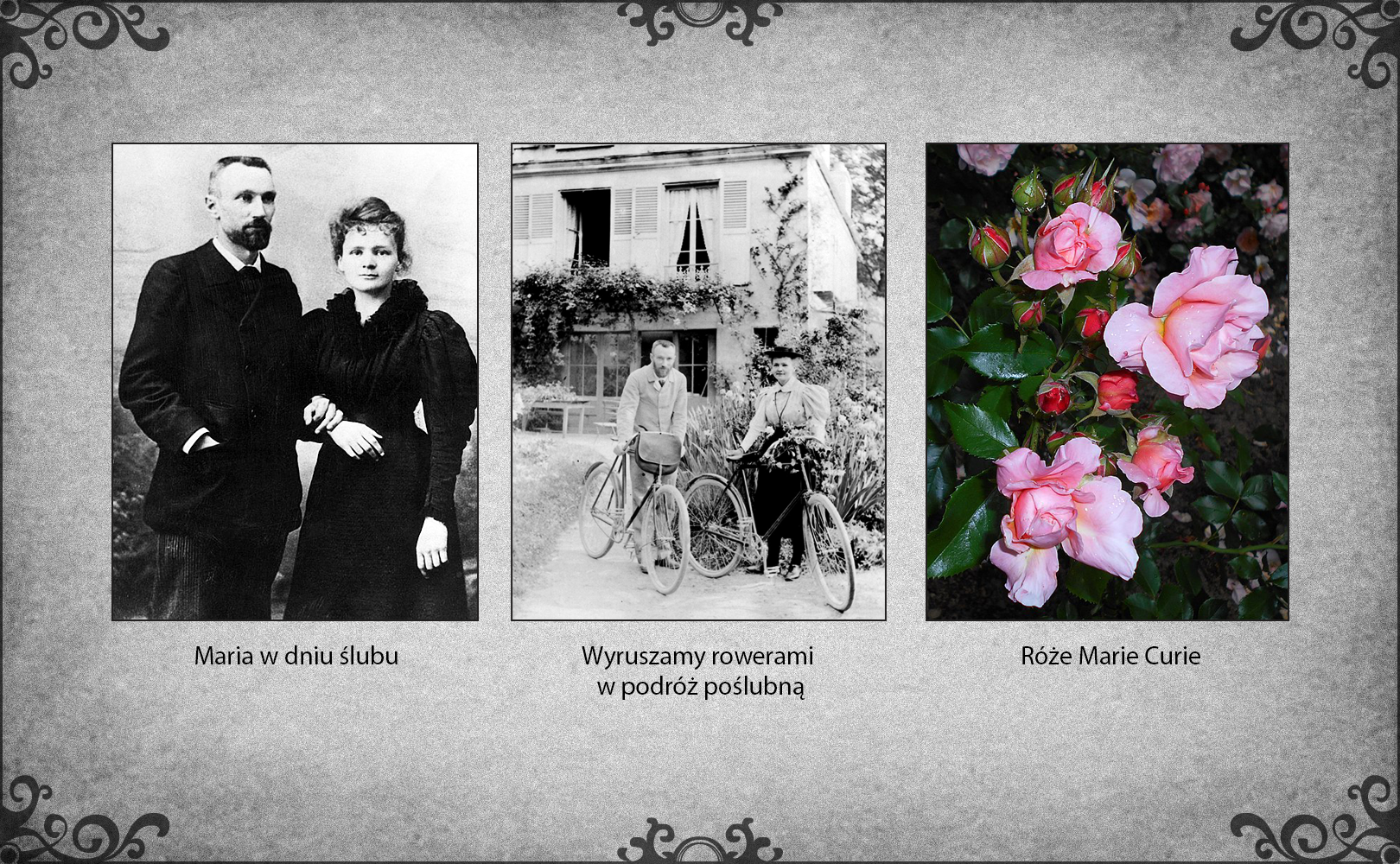 Slajd składa się z trzech fotografii. Po lewej stronie slajdu fotografia Piotra i Marii Curie w dniu ślubu. W centrum zdjęcie, jak nowożeńcy wyruszają w podróż poślubną na rowerach. W tle zdjęcia ogród różany Marii. Po prawej fotografia nowej odmiany róż, nazwanych imieniem Marii Curie. 