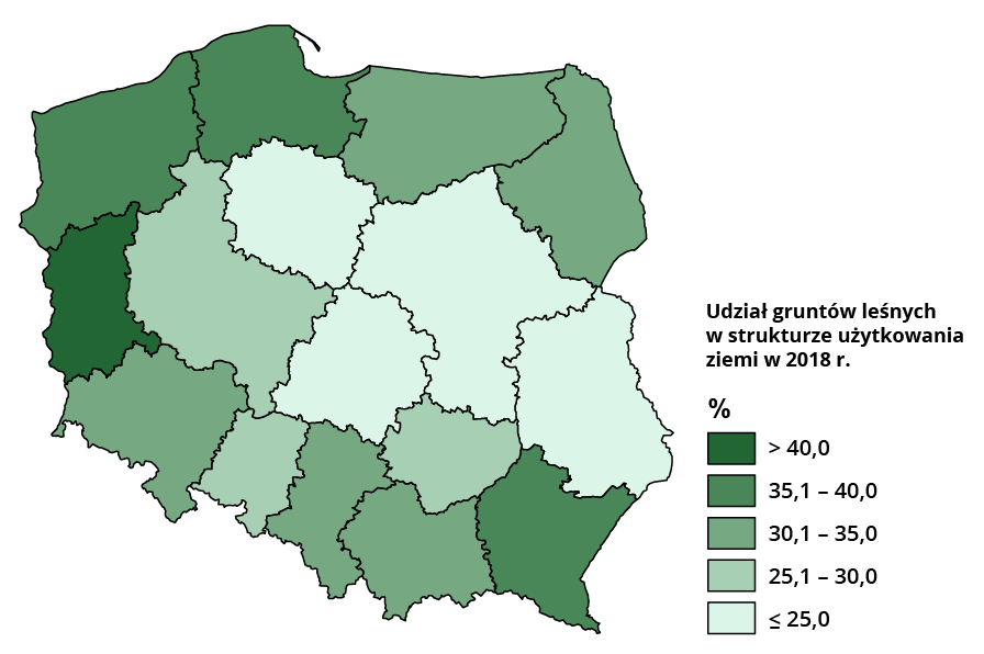 Mapa Polski przedstawia udział gruntów leśnych. Powyżej 40% wystąpiło w województwie lubuskim. Od 35,1 do 40% wystąpiło w województwie zachodniopomorskim, pomorskim i podkarpackim. Od 30,1 do 35% wystąpiło w województwie małopolskim, śląskim, dolnośląskim, warmińsko mazurskim i podlaskim. Os 25,1 do 30% wystąpiło w województwie świętokrzyskim, opolskim, wielkopolskim. Poniżej 25% wystąpiło w województwie lubelskim, mazowieckim, łódzkim i kujawsko‑pomorskim.