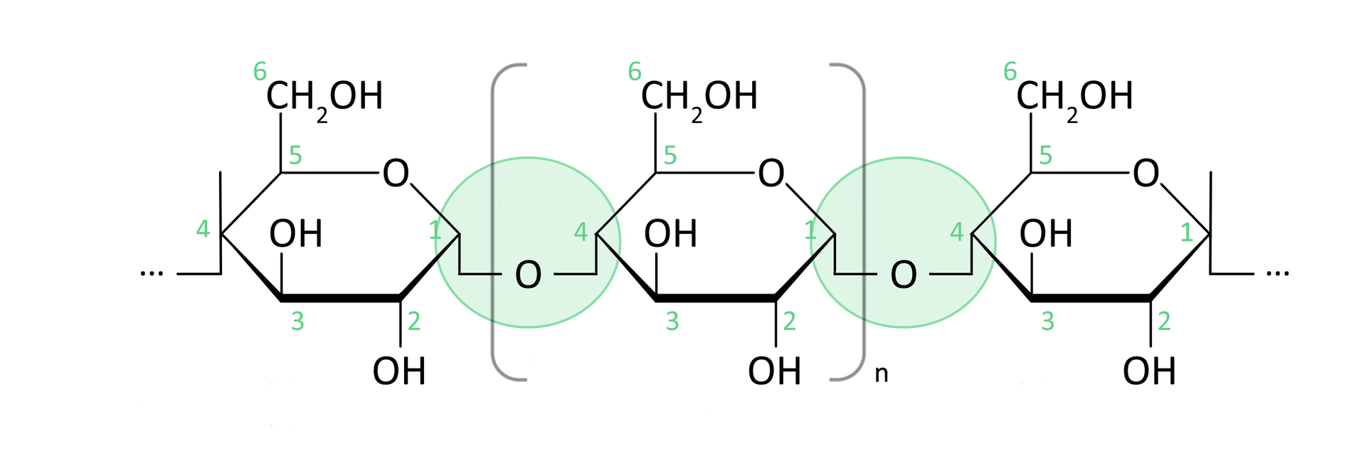 Ilustracja przedstawiająca wzór amylozy, która wraz z amylopektyną tworzą skrobię. W amylozie wystepują wiązania alfa-1,4-glikozydowymi. Przedstawiony fragment amylozy składa się z trzech połączonych za pomocą wiązań alfa-1,4-glikozydowych jednostek glukozy, z których środkowa znajduje się w nawiasie kwadaratowym, względem którego w indeksie dolnym znajduje się litera n. Znajdujący się po lewej stronie sześcioczłonowy pierścień, w którym pierwszy lokant to atom węgla C 1 związany z atomem tlenu wbudowanym w tenże pierścień. Węgiel C 5 zamyka pierścień i łączy się z wspomniany atomem tlenu oraz węglem C 6, niewbudowanym w pierścień. Od węgla C 1 odchodzi wiązanie łączące go z atomem tlenu, który to łączy się z węglem C 4 kolejnego pierścienia. Od węgli C 2, C 3 oraz C 6 odchodzą grupy hydroksylowe. Dwa pierścienie połączone są mostkiem tlenowym, wspomniany atom tlenu łączący węgiel C 1 pierwszego pierścienia z węglem C 4 drugiego o budowie analogicznej. W pierwszym pierścieniu od węgla C 4 odchodzi atom tlenu, od którego poprowadzone jest wiązanie przerywane. Drugi pierścień połączony jest również za pomocą wiązania alfa-1,4-glikozydowego z trzecią jednostką glukozy, a od trzeciej jednostki również poprowadzono przerywaną linię świadczącą o dalszej części łańcucha polimerowego.