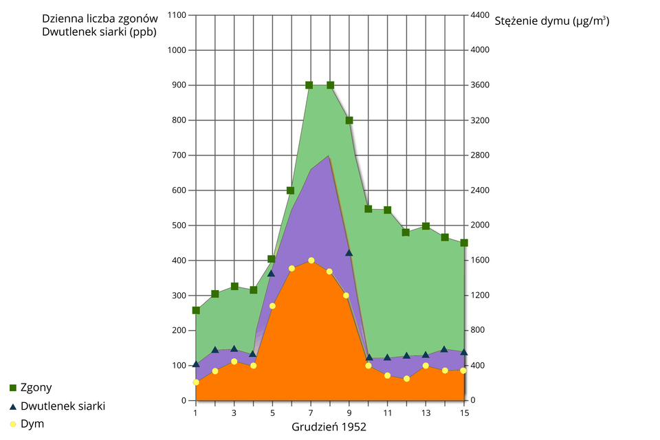 Wykres przedstawia trzy krzywe. Dotyczą dymu, dwutlenku siarki i zgonów. Między 6 a 9 grudnia 1952 roku gwałtownie wzrosło stężenie dymu, w tym dwutlenku siarki oraz liczba zgonów. Stężenie dymu wyniosło 7 grudnia 1600 mikrogramów na metr sześcienny. Dwutlenek siarki 8 grudnia wyniósł 700 ppb. W szczycie w dniach od 7 do 8 grudnia zmarło dziennie 900 osób. Od 10 do 15 grudnia dziennie umierało od 450 do 550 osób.  