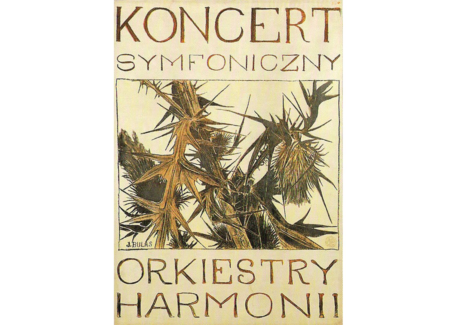 Plakat przedstawia osty. Umieszczono na nim napisy: Koncert symfoniczny orkiestry harmonii.