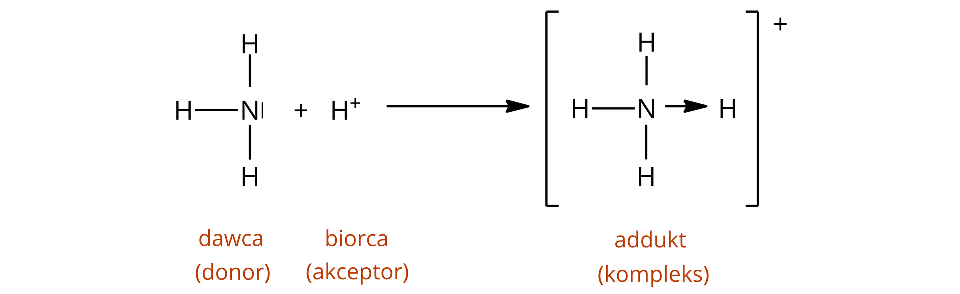 Na ilustracji znajduje się wzór cząsteczki amoniaku NH3: atom azotu z jedną parą elektronów łączy się wiązaniami pojedynczymi z trzema atomami wodoru - to dawca, donor, dodać kation wodorowy - to biorca, akceptor, strzałka w prawo cząsteczka zbudowana z atomu azotu, który łączy się wiązaniami pojedynczymi z trzema atomami wodoru – na górze, na dole i po lewej stronie. Po prawej stronie znajduje się strzałka skierowana od atomu azotu do atomu wodoru. Wzór znajduje się w nawiasie kwadratowym. Za nawiasem u góry jest znak plus.  Pod wzorem jest napis: addukt, kompleks. 