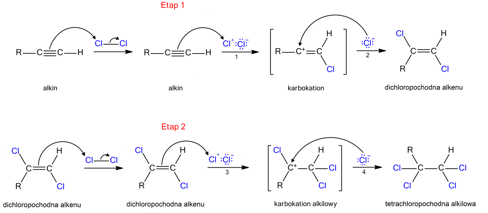 Na ilustracji przedstawiono dwuetapowy mechanizm addycji elektrofilowej chloru do alkinu. We wzorach litera R oznacza dowolną grupę węglowodorową lub atom wodoru. Etap 1: Wzór alkinu na ilustracji to R połączone z atomem węgla tworzącym wiązanie potrójne z kolejnym atomem węgla, do którego przyłączony jest atom wodoru. Strzałka w prawo, nad nią dwa atomy chloru połączone wiązaniem pojedynczym. Strzałka od wiązania potrójnego do jednego z atomów chloru. Strzałka w prawo, ogólny wzór alkinu, strzałka w prawo, nad strzałką dwa atomy chloru: jeden z indeksem górnym plus, drugi z indeksem górnym minus. Strzałka skierowana od wiązania potrójnego alkinu do chloru z indeksem plus. Powstaje karbokation o wzorze: R połączone z atomem węgla w indeksie górnym plus, który jest połączony wiązaniem podwójnym z atomem węgla związanym dodatkowo z atomem wodoru i chloru. Strzałka w prawo, nad strzałką anion chlorkowy strzałką skierowany do kationu węgla. Powstaje dichloropochodna alkenu o wzorze: jeden atom chloru i grupa R połączone z atomem węgla tworzącym wiązanie podwójne z kolejnym atomem węgla, do którego przyłączone są atom wodoru i atom chloru, atomy chloru znajdują się w pozycjach trans. Poniżej etap 2: Powstała dichloropochodna alkenu strzałka od wiązania podwójnego do atomu chloru połączonego wiązaniem pojedynczym z drugim atomem chloru. Strzałka w prawo, dichloropochodna alkenu, strzałka, nad nią atom chloru dodatnio naładowany skierowany strzałką do wiązania podwójnego obok anion chlorkowy. Strzałka w prawo, karbokation alkilowy o wzorze: atom chloru i grupa R połączone z kationem węgla połączonym wiązaniem pojedynczym z kolejnym atomem węgla który jest dodatkowo połączony z dwoma atomami chloru. Strzałka w prawo, nad strzałką anion chlorkowy i strzałka od niego skierowana do wiązania podwójnego w karbokationie. Strzałka w prawo, produkt reakcji: tetrachloropochodna alkilowa o wzorze: grupa R i dwa atomy chloru przyłączone do atomu węgla który jest dodatkowo połączony z atomem węgla tworzącym wiązanie z atomem wodoru i dwoma atomami chloru.