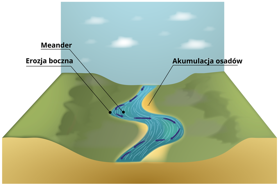 Ilustracja przedstawia przekrój doliny rzeki meandrującej z przedstawioną erozją boczną i akumulacją osadów. Na rzece zaznaczone są strzałki oznaczające przenoszenie się osadów przez nurt rzeki. Oznaczony jest meander, czyli zakole w korycie rzecznym. Na wysokości meandra po jego zewnętrznej stronie zaznaczony jest brzeg z podpisem: erozja boczna. Z tego miejsca nurt rzeki zabiera osady. Po wewnętrznej stronie meandra na brzegu następuje akumulacja osadów. W tym miejscu zbierają się osady zabrane przez rzekę w wyniku erozji bocznej. 