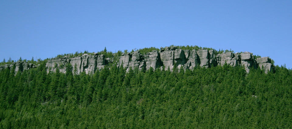 Fotografia przedstawia Szczeliniec Wielki z Gór Stołowych. Widać spłaszczone, popękane skały, porośnięte gęstym borem świerkowym.