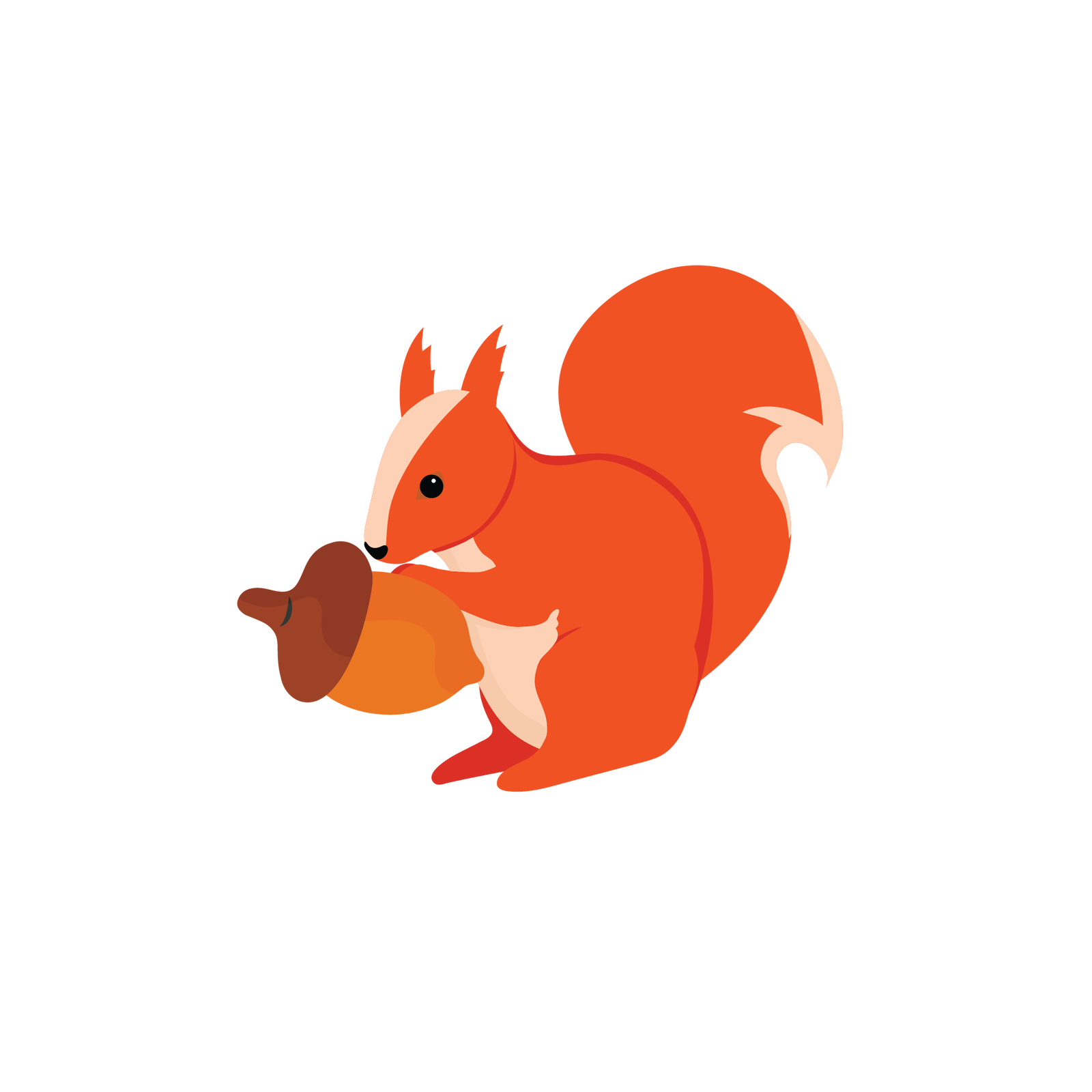 Ilustracja przedstawia wiewiórkę. Jest to zwierzę, które ma ciało pokryte beżowo‑rudą sierścią, małą głowę, sterczące uszy, długi i puchaty ogon nazywany kitą oraz cztery łapki, z których przednie są krótsze niż tylne. Wiewiórka trzyma w przednich łapkach żołądź.