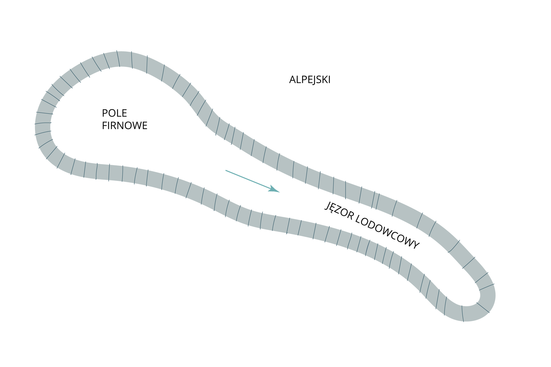 Ilustracja przedstawia lodowiec typu alpejskiego. Jest podłużny, w górnej części zaznaczono pole firnowe, w dolnej jest nieco węższy od pola firnowego długi jęzor lodowcowy.    