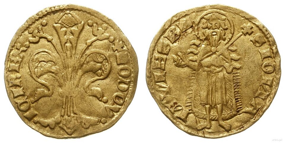 Na ilustracji przedstawiony jest węgierski złoty floren Ludwika Andegaweńskiego, zarówno od srony awersu, jak i rewersu. Na awersie w jego centralnej części znajduje się lilia, jej liście rozchodzą się na boki, a na krawędziach znajdują się napisy. Na rewersie w jego centralnej części znajduje się Jan Chrzciciel. Jest to uproszczony wizerunek mężczyzny w pozycji stojącej. Ma on długie włosy i brodę, a nad głową posiada aureolę. Na krawędziach rewersu również znajdują się napisy.