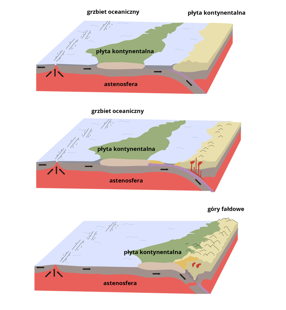 Na ilustracji przedstawiono kolejne etapy kolizji dwóch płyt kontynentalnych i powstawania górotworu. Na schemacie zaznaczono dwie płyty kontynentalne. Po lewej stronie jest grzbiet oceaniczny. Obok niego płyta kontynentalna, następnie ocean i kolejna płyta kontynentalna. Pod płytami jest astenosfera. Na kolejnej ilustracji po prawej stronie pojawia na płycie kontynentalnej pojawiają się wybrzuszenia. Zaznaczono również w postaci pionowych kresek magmę. Na ostatniej ilustracji dwie płyty stykają się ze sobą. Powstają góry fałdowe.  