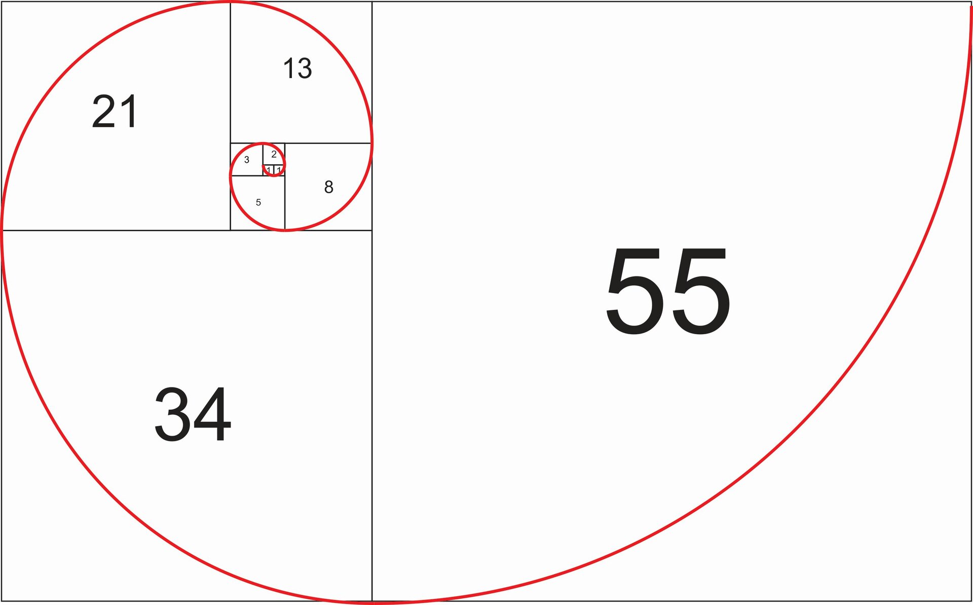 P‑040‑FOTO19 Ilustracja przedstawia schemat ukazujący złotą spiralę. Opiera się ona na zasadzie złotego podziału. Powstała z podzielenia na kwadrat i mniejszy złoty prostokąt, a następnie wyrysowania w tak powstałych kwadratach łączących się ze sobą, ćwiartek okręgów, które utworzyły spiralę.