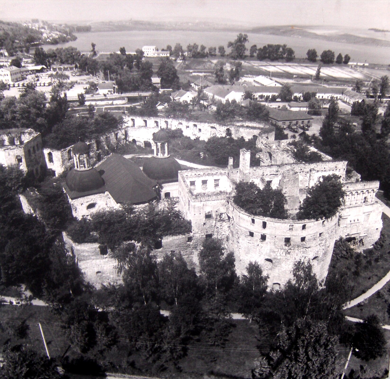 Zdjęcie przedstawia widziane z lotu ptaka ruiny zamku w Brzeżanach. Jako pozostałości wśród roślinności widać mury pałacu z bramą, mury kościoła zamkowego, dolne kondygnacje baszty i bastei. Widoczny zarys planu budowli w postaci nieregularnego pięcioboku z trzema ciężkimi, o grubych murach basztami. Na pierwszym planie są pozostałości półkolistej bastei osłaniającej wjazd do głównego gmachu zamku. Po prawej stronie widoczny zwieńczony attyką z fryzem i ze strzelnicami budynek pałacowy bez dachu z wybijającą się z murów roślinnością. Po lewej stronie w ruinie mniejsza czworoboczna wieża przy narożniku obwarowań. W tle widać zabudowania miasta. 