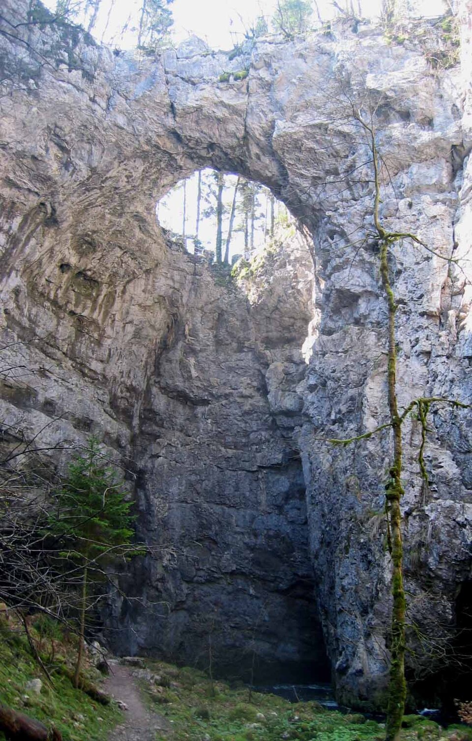 Na ilustracji widoczny jest most skalny nad doliną krasową (Słowenia). Jest to wysoka ściana ze skały z otworem u góry, widać tam drzewa. U stóp ściany występuje rzeka, zbiornik wodny. Rosną pojedyncze drzewa iglaste.