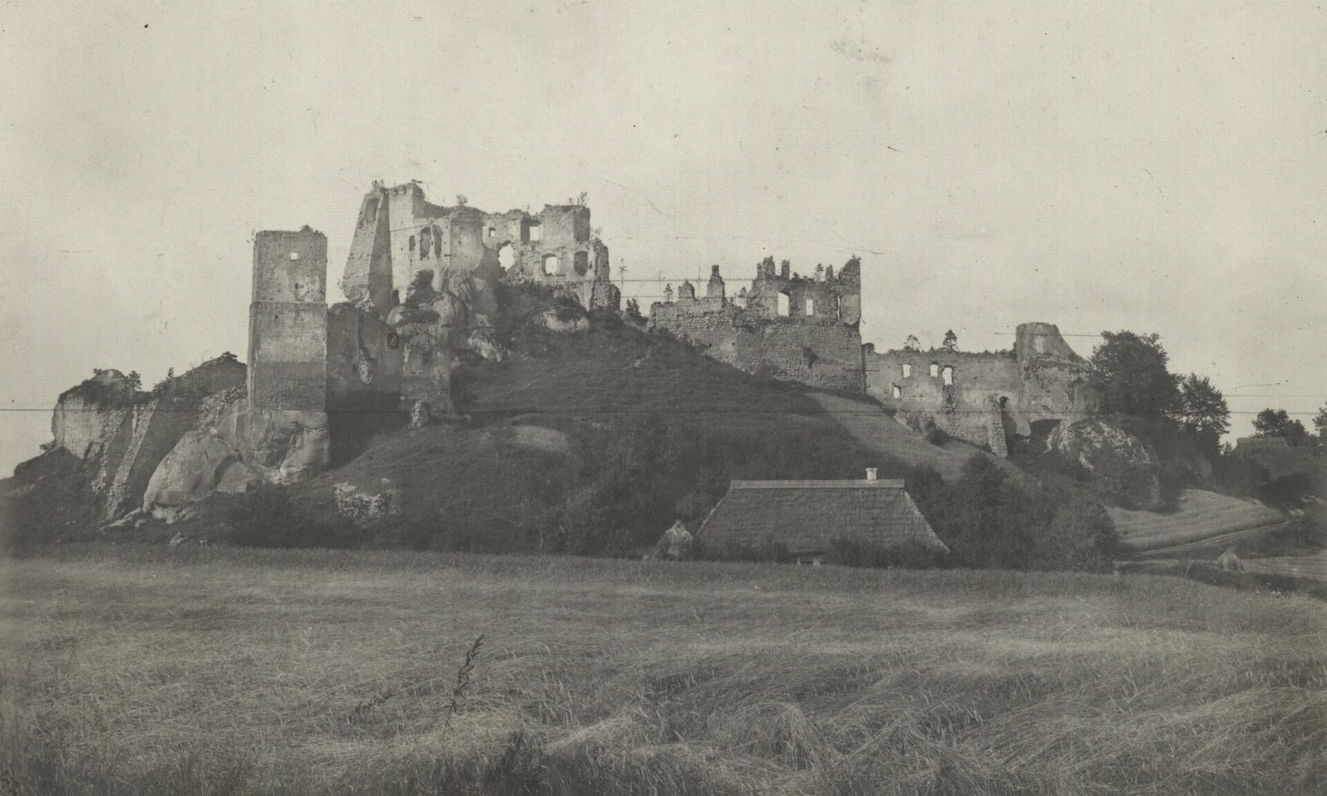 Fotografia przedstawia ruiny wielkiego zamku znajdującego się na wzgórzu. Widać kilka drzew oraz dach domu stojącego u podnóża wzniesienia. Wokół znajdują się pola.