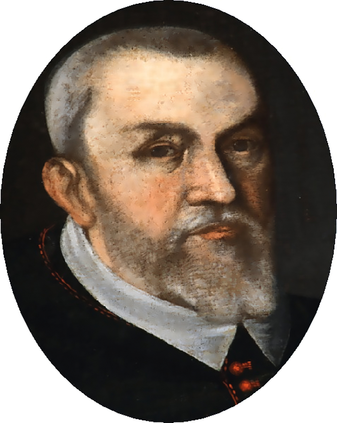 Ilustracja przedstawia portret Piotra Tylickiego. Jest on mężczyzną w średnim wieku , z siwymi, zaczesanymi do tyłu włosami orz siwym zarostem: wąsami i brodą, która się rozgałęzia na boki. Mężczyzna ma wzrok skierowany w prawą stronę. Ubrany jest w  sutannę zapinaną na małe guziki, z koloratką o kształcie kołnierza. 