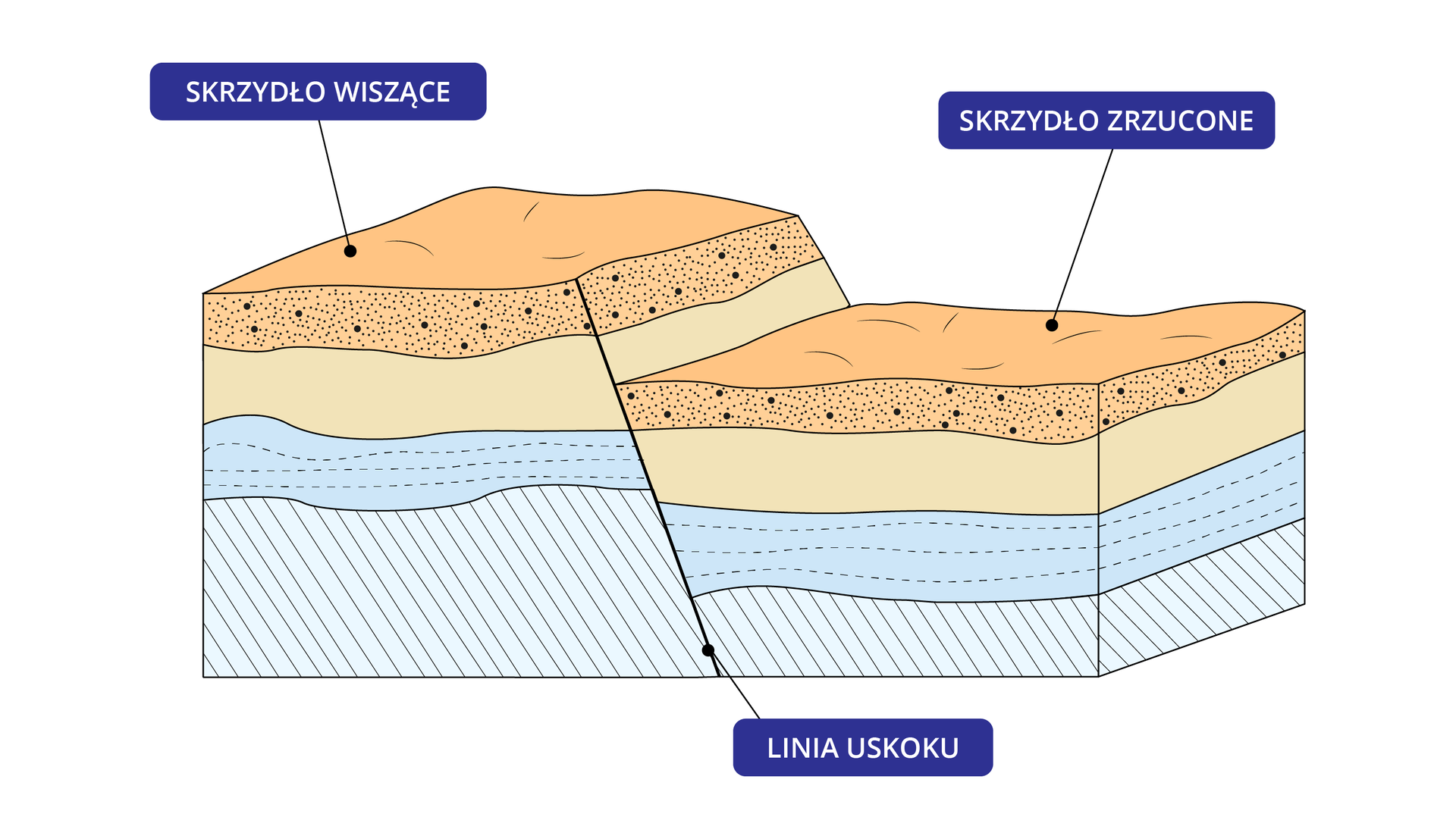 Schemat uskoku został przedstawiony za pomocą pofalowanego prostopadłościanu ukośnie przepołowionego na środku. Zaznaczone są na nim warstwy gleby. Pierwsza od góry ma kolor pomarańczowy i czarne kropki. Druga sfera oznaczona kolorem różowym. Trzecia ma kolor niebieski i poziome przerywane linie. Na samym dole jest strefa zielona z ukośnymi kreskami. Po lewej stronie czarnej linii podpisanej: linia uskoku, wszystkie warstwy są wzniesione ku górze i podpisane jako: skrzydło wiszące. Po prawej stronie linii uskoku warstwy są obniżone i podpisane jako: skrzydło zrzucone. W skrzydle wiszącym ponad ziemię wzniesione są dwie pierwsze warstwy, a ostatnia jest o wiele większa niż w skrzydle zrzuconym.