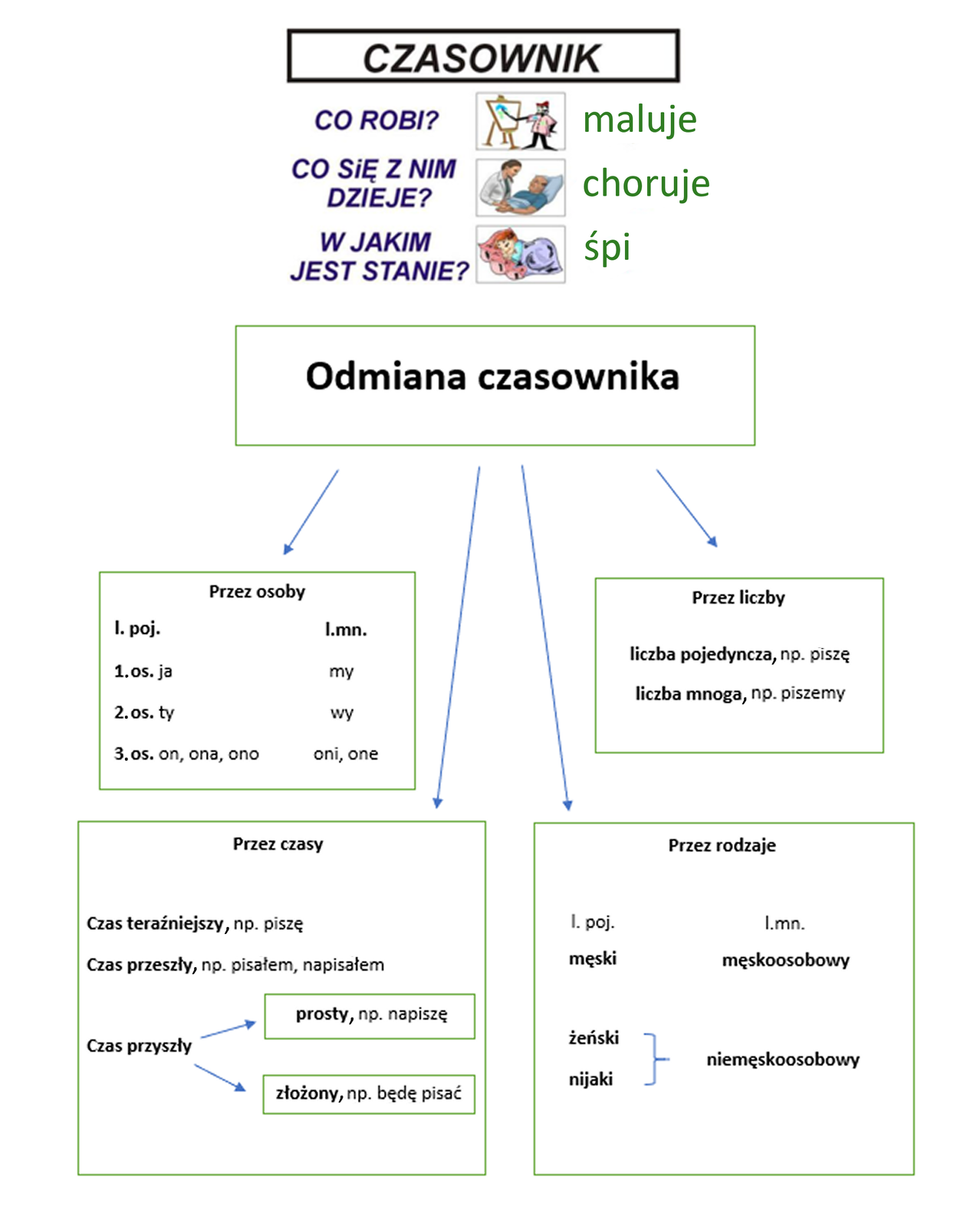 Grafika przedstawia schemat odmiany czasownika. Na górze znajduje się tekst: "czasownik". Pod nim znajdują się pytania: co robi?, co się z nim dzieje?, w jakim jest stanie? Obok pytań są zamieszczone obrazki: pierwszy obrazek przedstawia postać stojącą przy sztaludze i malującą pędzlem na białym obrazie; drugi obrazek przedstawia scenę, w której lekarka pochyla się nad leżącym w łóżku pacjentem; trzeci obrazek przedstawia śpiące dziecko. Obok obrazków znajduje się tekst: maluje, choruje, śpi. Poniżej znajduje się ramka z tekstem: Odmiana czasownika. Odchodzą od niej cztery strzałki prowadzące do czterech ramek, w których jest tekst. Pierwsza ramka zawiera tekst: przez osoby, l. poj., 1. os. ja, 2. os. ty, 3. os. on, ona, ono; l. mn. my, wy, oni, one. Druga ramka zawiera tekst: przez liczby; liczba pojedyncza, np. piszę, liczba mnoga, np. piszemy. Trzecia ramka u dołu zawiera tekst: przez czasy; czas teraźniejszy, np. piszę, czas przeszły, np. pisałem, napisałem, czas przyszły: prosty, np. napiszę, złożony, np. będę pisać. Czwarta ramka u dołu zawiera tekst: przez rodzaje; l. poj. męski, żeński, nijaki, l.mn. męskoosobowy, niemęskoosobowy.