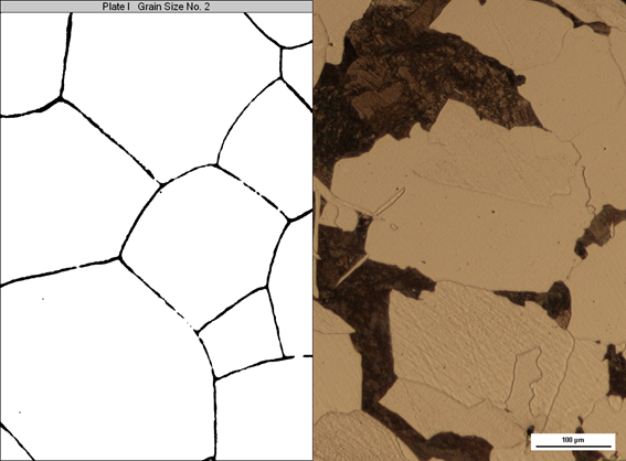 Na zdjęciu przedstawiono metodę mikroskopową określania wielkości ziarna. Zdjęcie podzielone jest ba dwie części Po lewej stronie ziarno narysowane jest na podstawie oryginalnego obrazu. Widoczne ziarno ma czarne obwódki. Wnętrze ziarna jest białe. Ziarno cechuje się dużym rozmiarem. Po prawej widoczne jest oryginalne ziarno.