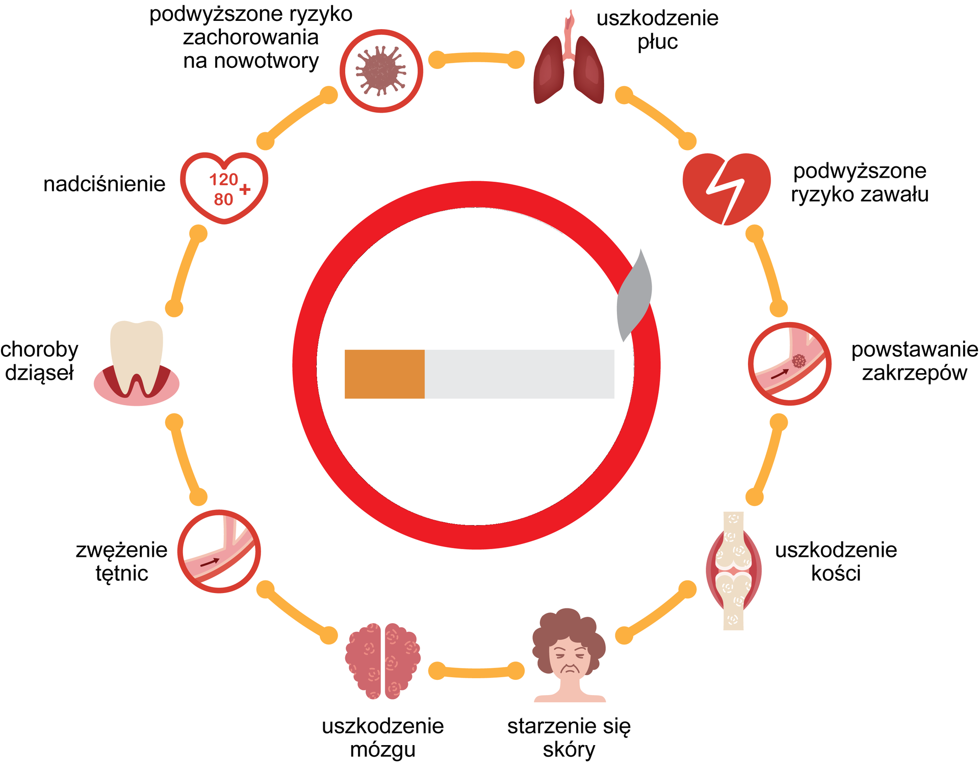 Ilustracja przedstawiająca schemat dotyczący wpływu palenia tytoniu na organizm człowieka. W środkowej części znajduje się pomarańczowo-biały papieros, z którego końcówki wydobywa się dym. Papieros zakreślony jest czerwonym okręgiem. Wokół wypisane skutki palenia z symbolicznie narysowanymi częściami ciała, których one dotyczą. Zgodnie zw wskazówkami zegara. Rysunek płuc, uszkodzenie płuc. Serce, podwyższone ryzyko zawału. Tętnice i żyły, powstawanie zakrzepów. Kości, uszkodzenie kości. Pomarszczona twarz, starzenie się skóry. Mózg, uszkodzenie mózgu. Tętnice, zwężenie tętnic. Ząb osadzony w dziąśle, choroby dziąseł. Serce, nadciśnienie. Komórka nowotworowa, podwyższone ryzyko zachorowania na nowotwory.