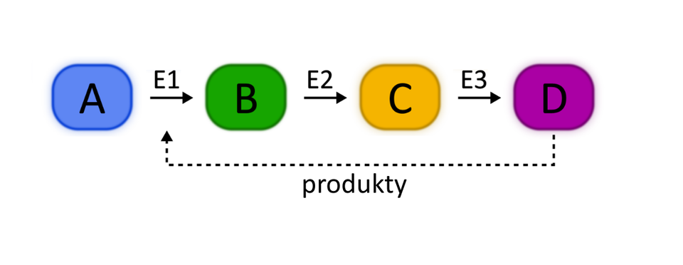 Ilustracja przedstawia dwa schemat: szlak metaboliczny złożony z trzech etapów, katalizowanych przez enzymy E1, E2 i E3. Za pomocą strzałki przerywanej z napisem „produkty” zaznaczono hamujący wpływ produktu końcowego szlaku na pierwszy etap, przeprowadzany przez enzym E1.
