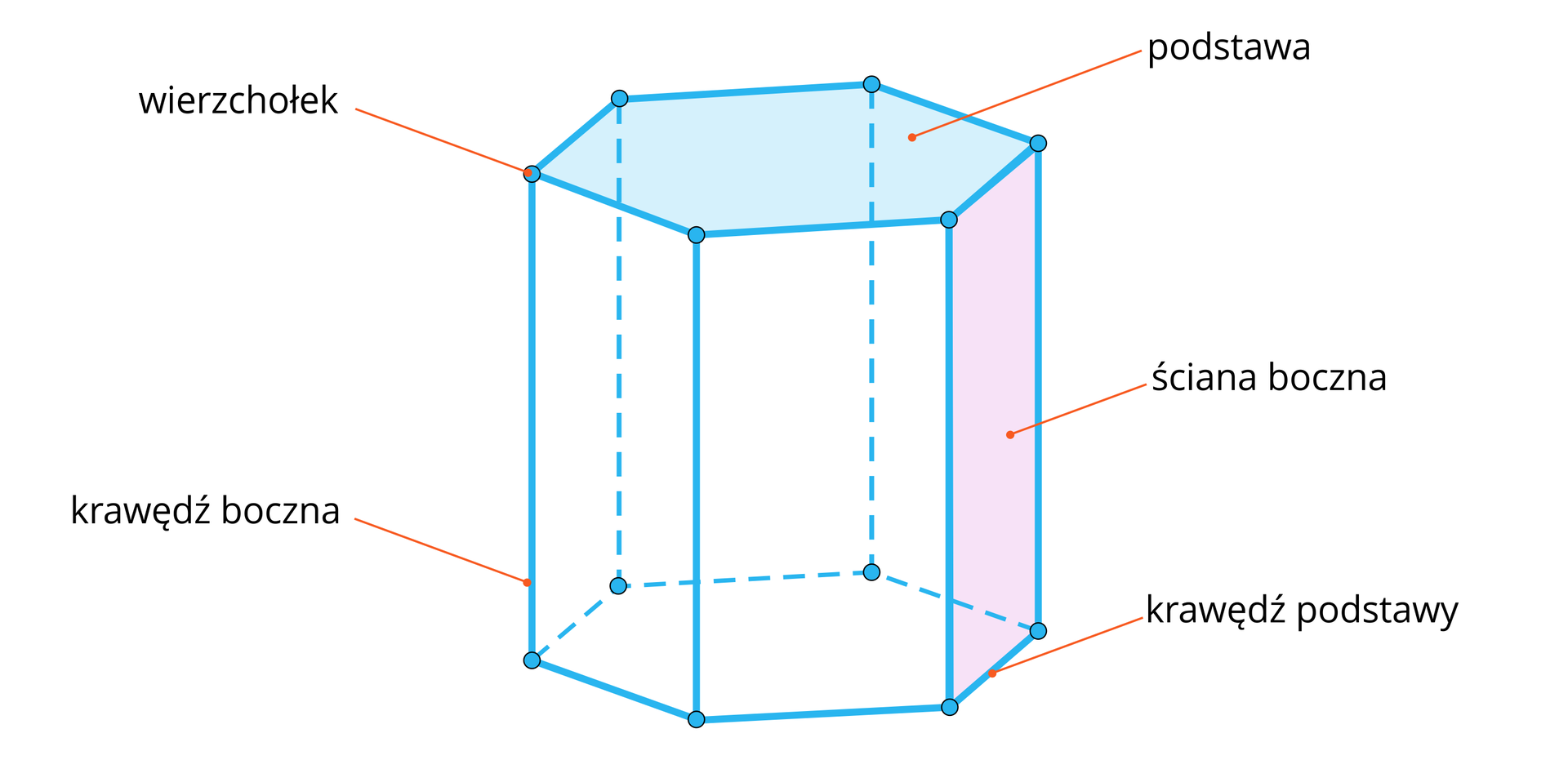 Grafika przedstawia graniastosłup prawidłowy sześciokątny. Na rysunku zaznaczone są poszczególne elementy graniastosłupa. Elementy w kształcie sześciokąta prawidłowego to podstawy graniastosłupa. Krawędzie sześciokąta to krawędzie podstawy. Prostokątne elementy łączące podstawy to ściany boczne. Krawędzie ścian bocznych graniastosłupa to krawędzie boczne. Punkty, w których łączą się krawędzie boczne z podstawą to wierzchołki.