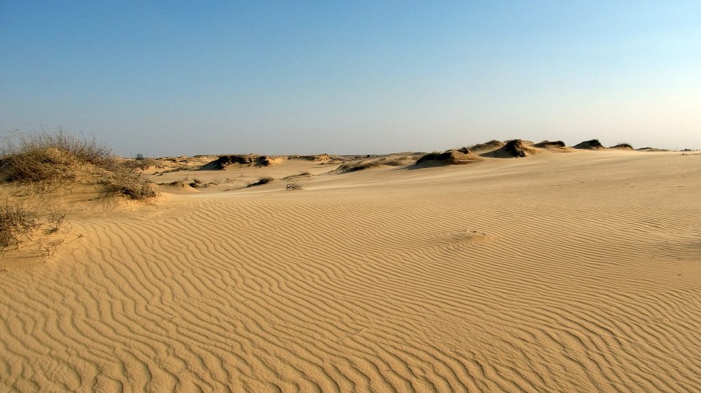 Zdjęcie przedstawia obszar pustynny. Piasek tworzy drobne pręgi faliste, tak zwane ripplemarki, przypominające zmarszczki.   