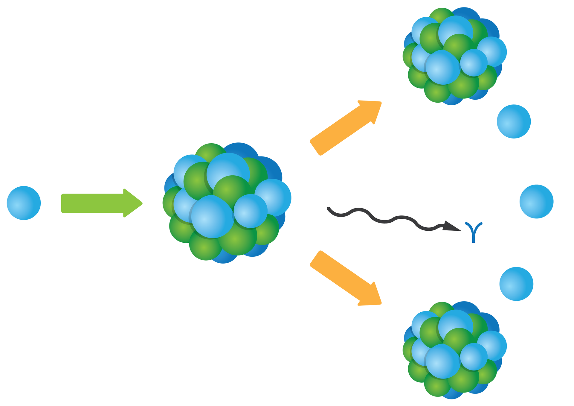 Ilustracja przedstawia na białym tle po lewej stronie na środku małą niebieską kulkę (neutron). Od kulki poprowadzona poziomo w prawo gruba zielona strzałka. Wskazuje ona na dużą kulę - jądro złożone z wielu małych, niebieskich i zielonych kulek (neutrony i protony). Od jądra w prawo poprowadzona pofalowana strzałka, za grotem której znajduje się grecka litera małe gamma. Od jądra poprowadzono również w stronę prawego górnego rogu oraz prawego dolnego rogu ilustracji grube pomarańczowe strzałki - każda wskazuje na kolejne jądro, mniejsze od pierwotnego, ale oba tak samo złożone z wielu niebieskich i zielonych kulek. W przestrzeni między tymi dwoma jądrami widać również trzy niebieskie kulki.