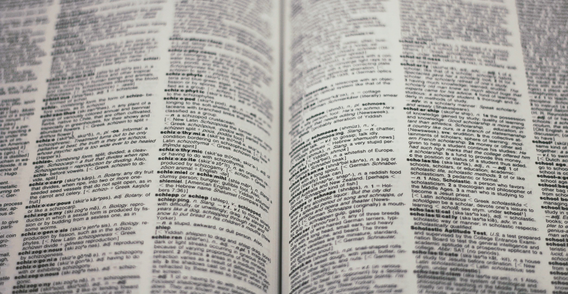 Zdjęcie przedstawia otwarty słownik.