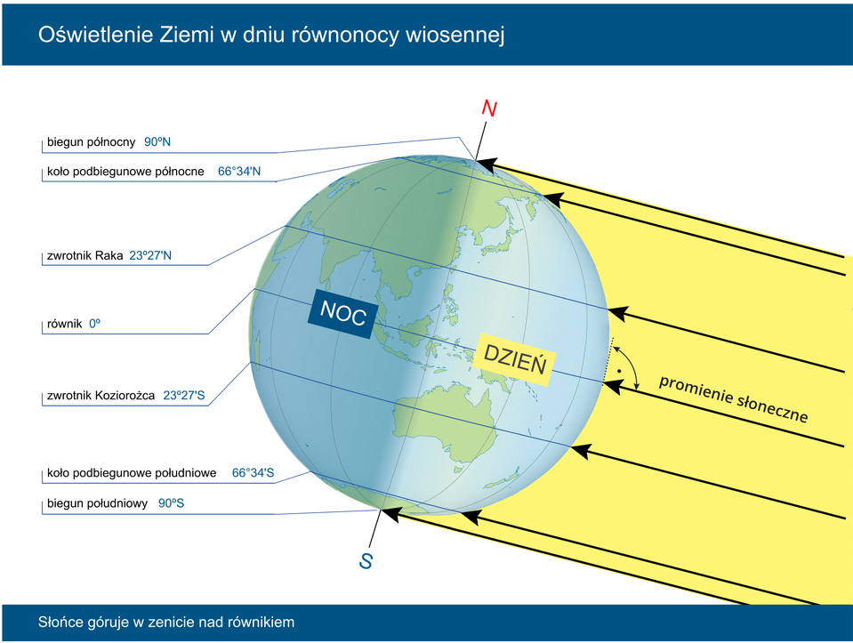 Ilustracja przedstawia kulę ziemską. Powierzchnię kuli pokrywają południki i równoleżniki. Kontynenty obrysowane niebieskim konturem. Przez środek kuli ziemskiej przebiega pionowa oś Ziemi. Nad biegunem północnym litera N, poniżej bieguna południowego litera S. Prawa półkula oświetlona żółtymi promieniami słonecznymi. Napis: dzień. Lewa półkula w cieniu. Napis: noc. Na dole, pozioma linia wskazuje biegun południowy. Opis 90 stopni szerokości geograficznej południowej. Powyżej równoleżnik – koło podbiegunowe południowe. Opis 66 stopni i 33 minuty szerokości geograficznej południowej. Powyżej zwrotnik Koziorożca 23 stopnie i 27 minut szerokości geograficznej południowej. Dokładnie w połowie równik. Zero stopni. Powyżej na półkuli północnej zwrotnik Raka 23 stopnie i 27 minut szerokości geograficznej północnej. Najwyżej to poziomy równoleżnik przechodzący przez koło podbiegunowe północne 66 stopni i 33 minuty szerokości geograficznej północnej. Na samej górze kuli ziemskiej biegun północny. 90 stopni szerokości geograficznej północnej. Promienie słoneczne tworzą z powierzchnią Ziemi na równiku kąt prosty. U góry grafiki na niebieskim tle napis: Oświetlenie Ziemi w dniu równonocy wiosennej. Na dole podpis: Słońce góruje w zenicie nad równikiem.