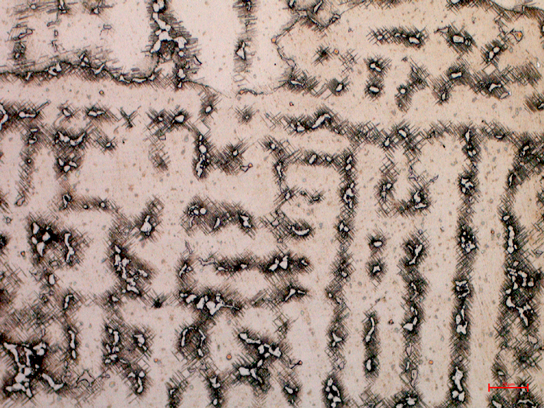 Zdjęcie przedstawia mikrostrukturę dendrytyczną w powiększeniu pięćdziesięciokrotnym. Widoczne są ciemne dendryty ledeburytu na tle jasnej osnowy cementytowej. Zaznaczone są rdzenie dendrytów, czyli ciemne obszary układające się w równoległe i prostopadłe do siebie linie, na których można również zobaczyć jaśniejsze plamy. Obszary międzydendrytyczne są natomiast beżowe i posiadają nieliczne ciemniejsze kropki.