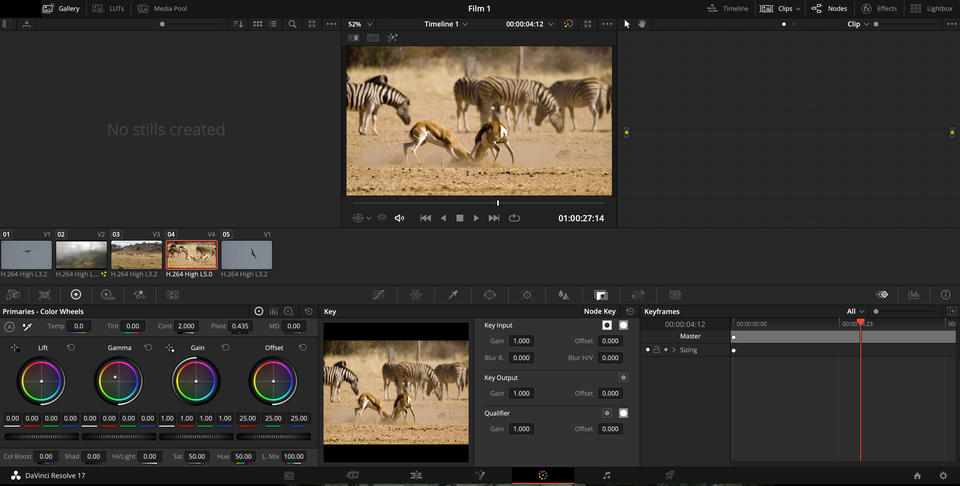 Ilustracja przedstawia otwarty program DaVinci Resolve. W lewym dolnym rogu ekranu znajduje się okno zatytułowane Primaries Color Wheels. Nad nimi znajdują się pliki, z których wybrano drugi plik od prawej strony przedstawiający zwierzęta na sawannie. U góry ekranu znajduje się podgląd wideo, na którym znajdują się dwie walczące ze sobą antylopy, a w tle pasące się zebry. Na dole ekranu znajdują się okna zatytułowane Key oraz Keyframes. 