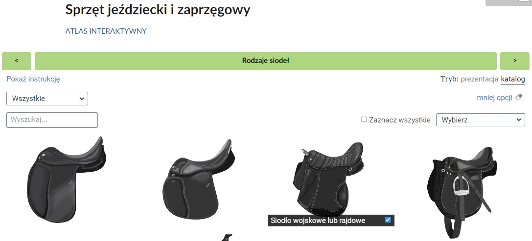 Grafika przedstawia przykładowy widok trybu wyświetlania zbiorów ilustracji z większą liczbą opcji i zaznaczoną ilustracją. Na górze znajduje się pasek nawigacyjny zatytułowany: Rodzaje siodeł. Niżej umieszczono cztery obrazki przedstawiające siodła. Jedna z grafik dodatkowo posiada czary pasek z tekstem: Siodło wojskowe lub rajdowe. Obok znajduje się kwadratowe okienko w niebieskim kolorze. Wewnątrz znajduje się ptaszek (znak wyboru). Oznacza to, że dana ilustracja została zaznaczona.