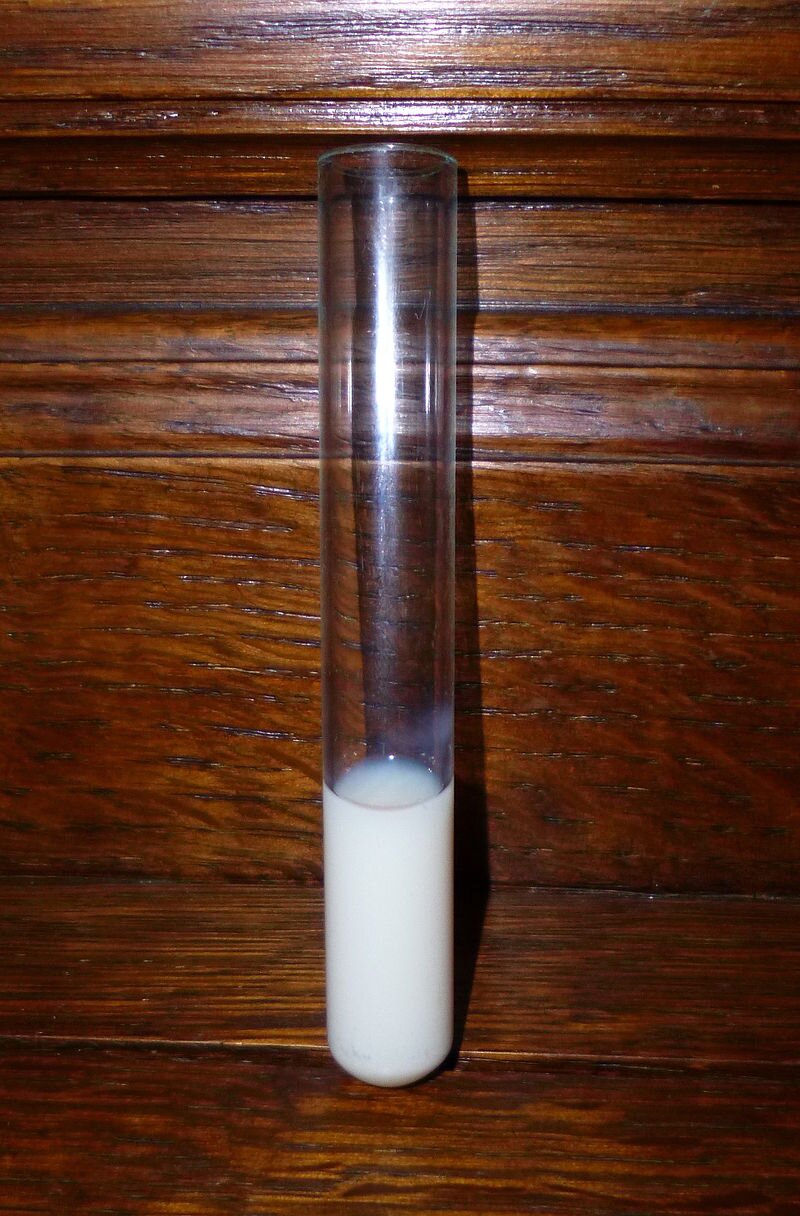 Zdjęcie przedstawia próbówkę wypełnioną do około 1/4 wysokości białym, nieprzejrzystym płynem. Próbówka stoi na drewnianym tle. 