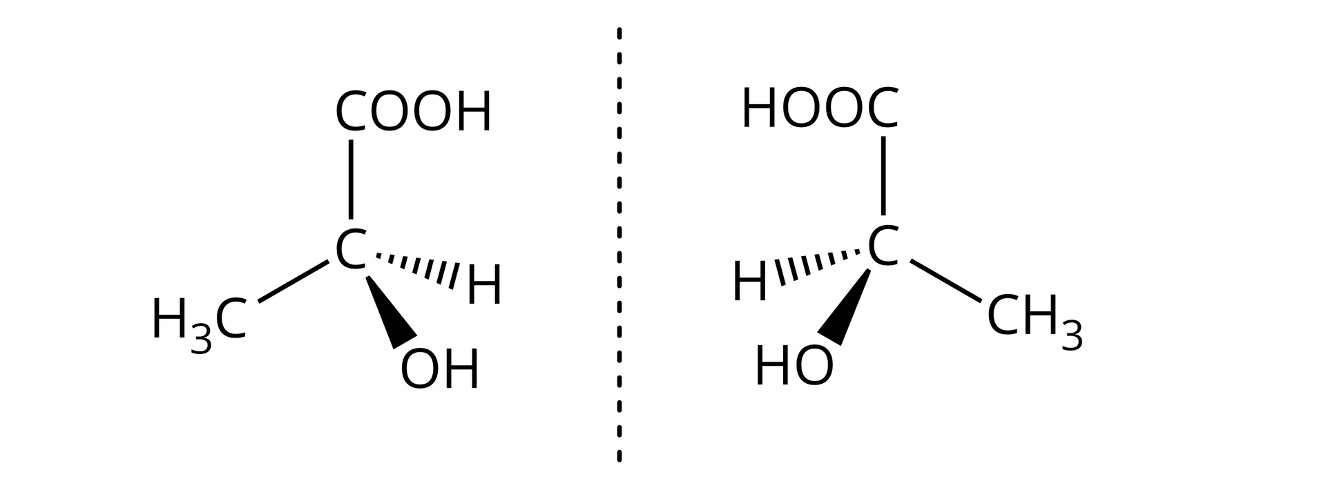 Na ilustracji są dwa wzory, pomiędzy nimi jest pionowa przerywana linia. Wzór po lewej stronie: atom węgla łączy się u góry z COOH, na dole po lewej stronie z grupą H indeks dolny 3 C, po prawej wiązaniem klinowym narysowanym liniami przerywanymi z atomem wodoru, poniżej wiązaniem klinowym z grupą OH. Wzór po prawej stronie pionowej linii: atom węgla łączy się u góry z HOOC. Na dole po lewej stronie wiązaniem klinowym przerywanym z atomem wodoru, poniżej którego jest wiązanie klinowe do HO. Po prawej stronie na dole jest wiązanie pojedyncze do C H indeks dolny trzy.