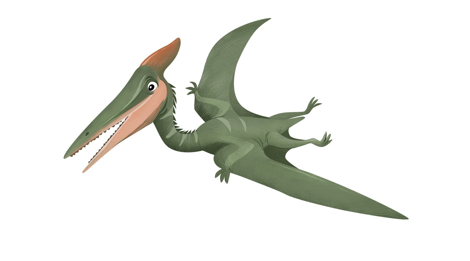 Na ilustracji znajduje się latający pterozaur.