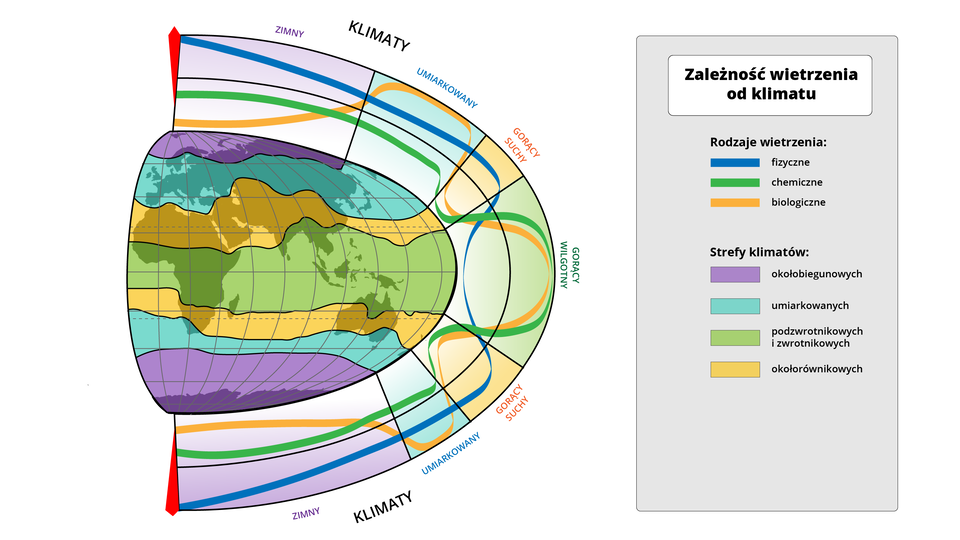 Ilustracja przedstawia wschodnią część półkuli ziemskiej. Na mapie zaznaczono zależność wietrzenia od klimatu oraz strefy klimatów. W rodzajach wietrzenia wyróżniono: wietrzenie fizyczne, chemiczne i biologiczne. Wyróżniono następujące strefy klimatów: okołobiegunowych, umiarkowanych, podzwrotnikowych i zwrotnikowych oraz okołorównikowych. Z grafiki można odczytać, że w klimacie zimnym okołobiegunowym dominuje wietrzenie fizyczne, znacznie mniejszy udział ma chemiczne, natomiast wietrzenie biologiczne występuje w bardzo niewielkim stopniu. W klimacie umiarkowanym największy udział posiada wietrzenie biologiczne, zaś najmniejszy chemiczne. Klimat gorący suchy okołorównikowy posiada największy udział wietrzenia fizycznego, natomiast wietrzenie chemiczne oraz biologiczne występuje znacznie rzadziej. W strefie klimatu gorącego wilgotnego podzwrotnikowego i zwrotnikowego najczęściej występuje wietrzenie chemiczne i biologiczne, natomiast wietrzenie fizyczne zdarza się bardzo rzadko.