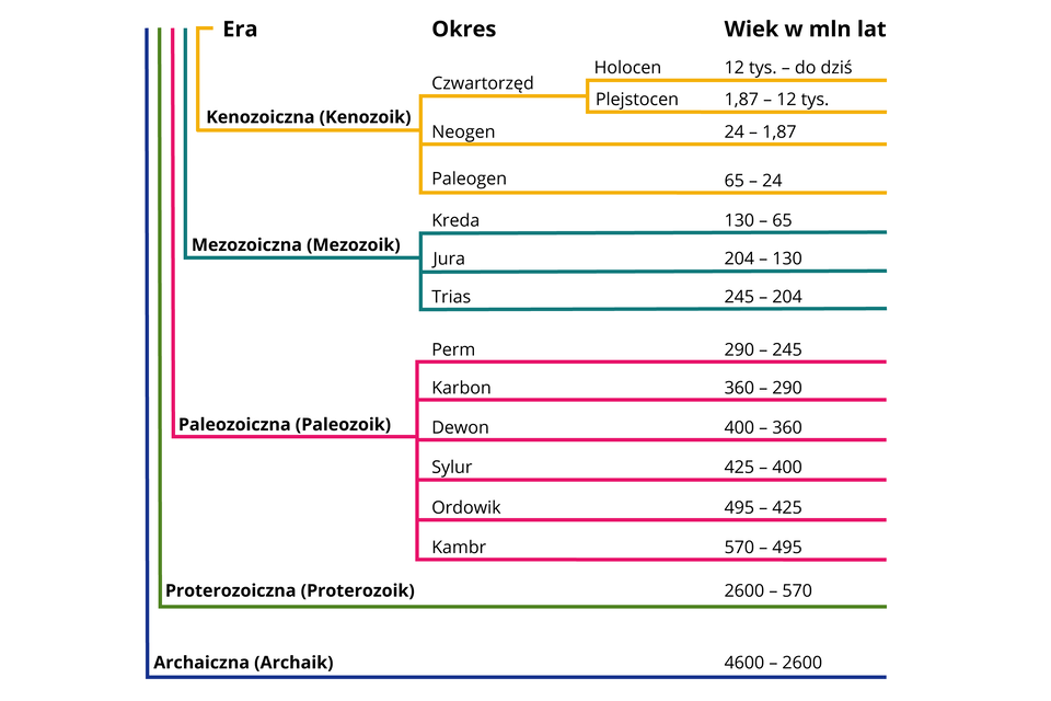 Ilustracja zawiera rozrysowany liniami podział dziejów Ziemi na ery, okresy i wiek w milionach lat. Najstarsza jest era archaiczna (archaik) od 4,6 do 2,6 miliarda lat temu. Po niej era proterozoiczna (proterozoik) - od 2,6 miliarda do 570 milionów lat temu.  Po niej nastąpiła era paleozoiczna (paleozoik). Era ta dzieli się na sześć okresów. Najstarszy z nich to kambr - od 570 do 495 milionów lat temu, następnie ordowik od 495 do 425 milionów lat temu, sylur - od 425 do 400 milionów lat temu, dewon - od 400 do 360 milionów lat temu, karbon - od 360 do 290 milionów lat temu oraz perm - od 290 do 245 milionów lat temu. Kolejna była era mezozoiczna (mezozoik). Dzieli się ją na trzy okresy. Najstarszy z nich to trias - od 245 do 204 milionów lat temu, następnie jura - od 204 do 130 milionów lat temu i kreda - od 130 do 65 milionów lat temu. Ostatnia, trwająca do dzisiaj era to era kenozoiczna. Dzieli się ją na trzy okresy. najstarszy z nich to paleogen - od 65 do 24 milionów lat temu. Środkowy okres to neogen - od 24 do 1,87 miliona lat temu. Ostatni okres kenozoiku to czwartorzęd. Dzieli się go na dwa podokresy: plejstocen i holocen. Plejstocen miał miejsce od 1,87 miliona lat temu do 12 tysięcy lat temu. Holocen zaczął się 12 tysięcy lat temu i trwa do dziś.  