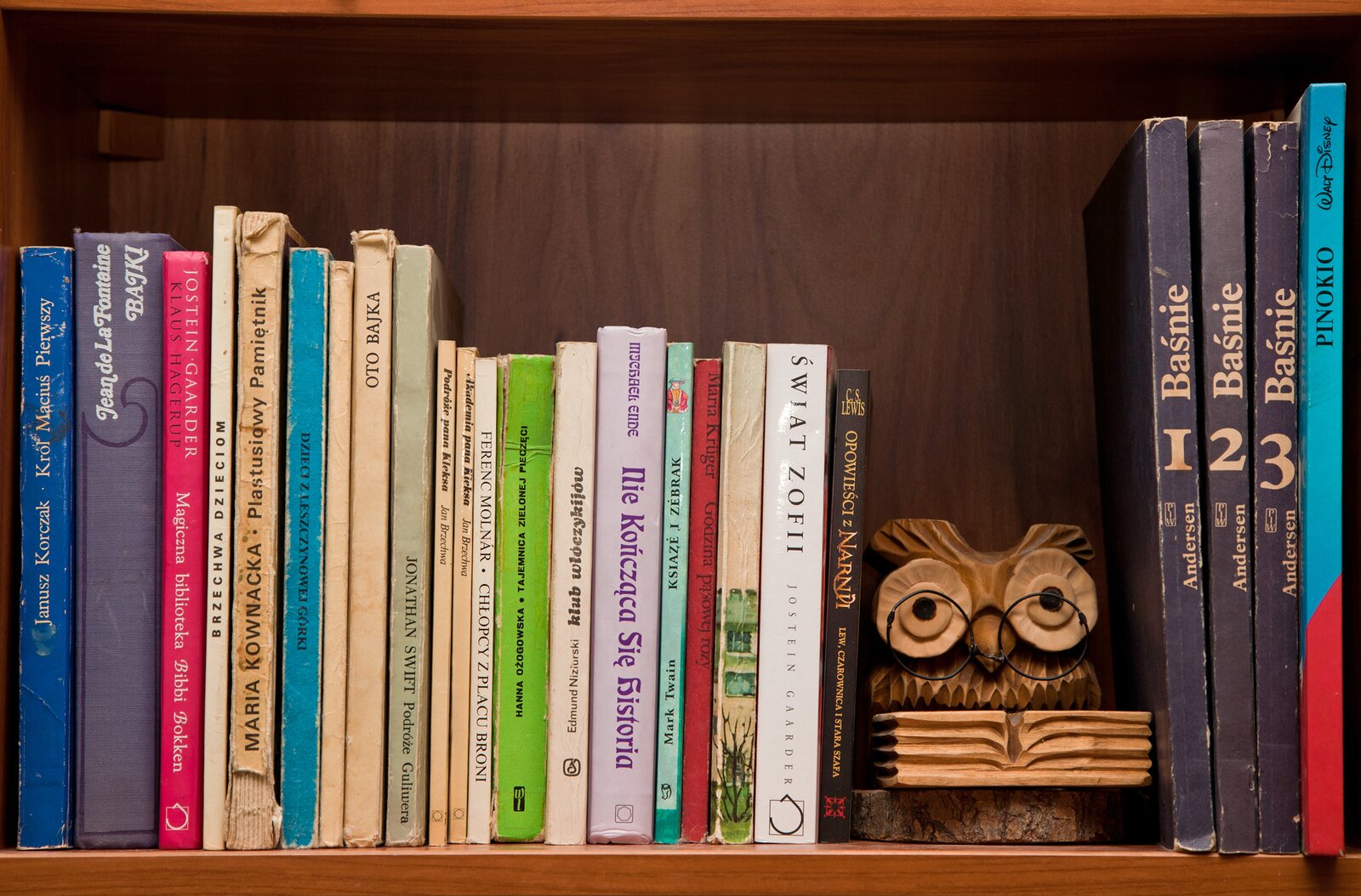 Fotografia przedstawia książki poustawiane w rzędzie. Wśród nich: baśnie, bajki, m.in. Janusz Korczak "Król Maciuś Pierwszy", Jean de La Fontaine "Bajki", Jostein Gaarder, Klaus Hagerup "Magiczna biblioteka Bibbi Bokken", "Brzechwa dzieciom", Maria Kownacka "Plastusiowy pamiętnik", "Dzieci z Leszczynowej Górki", "Oto bajka", Jonathan Swift "Podróże Gulliwera", Jan Brzechwa "Podróże Pana Kleksa", Jan Brzechwa "Akademia Pana Kleksa", Ferenc Molnar "Chłopcy z Placu Broni", Hanna Ożogowska "Tajemnica zielonej pieczęci", Edmund Niziurski "Klub włóczykijów", Michael Ende "Niekończąca się historia", Mark Twain "Książę i żebrak", Maria Kruger "Godzina pąsowej róży", Jostein Gaarder "Świat Zofii", C.S. Lewis "Opowieści z Narnii. Lew, Czarownica i stara szafa". Pomiędzy książkami znajduje się drewniana figurka sowy w okularach i z książką. Dalej książki: trzy tomy podpisane: Andersen "Baśnie" i Walt Disney "Pinokio". Książki mają różnokolorowe grzbiety. Niektóre są wydarte