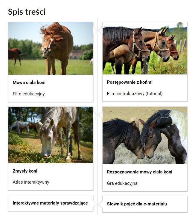 Grafika przedstawia sześć kafelków ze spisu treści, które znajdują się obok siebie. Mają prostokątny kształt. W czterech pierwszych kafelkach górna część to grafika z symbolem danego multimedium. Dolna część to tytuł i nazwa multimedium. Dwa ostatnie kafelki nie mają grafiki. Kafelek pierwszy jest zatytułowany: Mowa ciała koni i jest to film edukacyjny. Na zdjęciu znajduje się koń o maści brązowej, który stoi na łące. Drugi kafelek ma tytuł: Postępowanie z końmi i jest to film instruktażowy (tutorial). Fotografia przedstawia trzy konie w kantarach, stojące obok siebie. Trzeci kafelek nosi tytuł: Zmysły koni i jest to atlas interaktywny. Zdjęcie przedstawia trzy konie pasące się w lesie. Czwarty kafelek jest zatytułowany: Rozpoznawanie mowy ciała koni i także jest to gra edukacyjna. Zdjęcie przedstawia dwa konie, które wzajemnie się poznają. Piąty kafelek jest zatytułowany: Interaktywne materiały sprawdzające. Szósty kafelek jest zatytułowany: Słownik pojęć dla e‑materiału. 