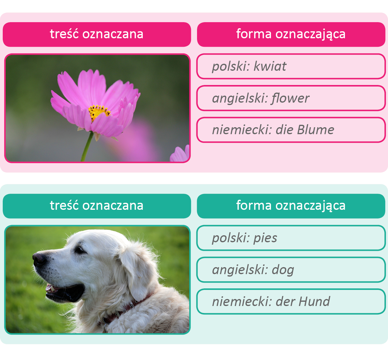Tabela z psem Źródło: Contentplus.pl sp. z o.o., licencja: CC BY-SA 4.0.