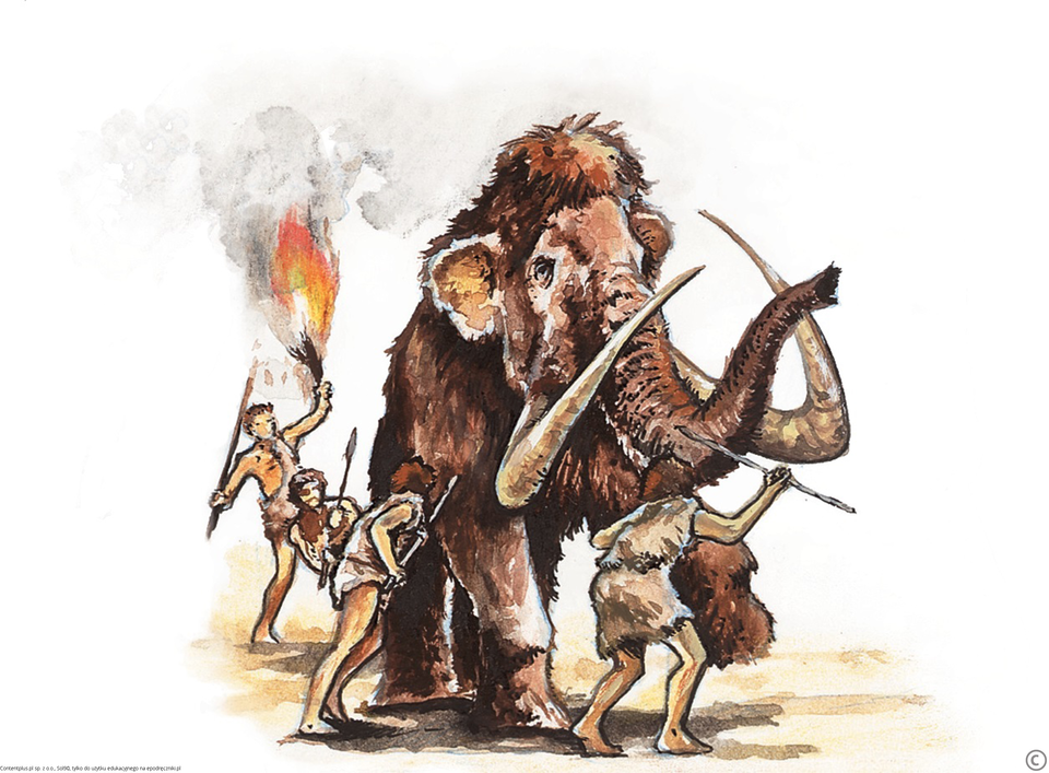 Ilustracja przedstawia scenę polowania pierwszych ludzi. Ubrani w skóry ludzie z oszczepami w rękach otaczają owłosionego mamuta. Mężczyzna z tyłu nosi płonący kawałek drewna. Trzech polujących otacza mamuta, unosząc do góry ostrza włóczni. Mamut unosi do góry trąbę. Wszyscy mężczyźni noszą zwierzęce skóry, przepasane lub na ramionach.