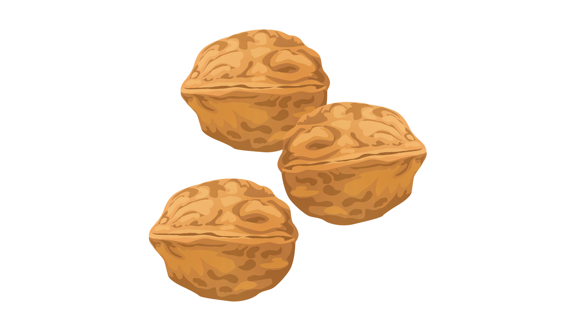 Na ilustracji znajdują się orzechy.