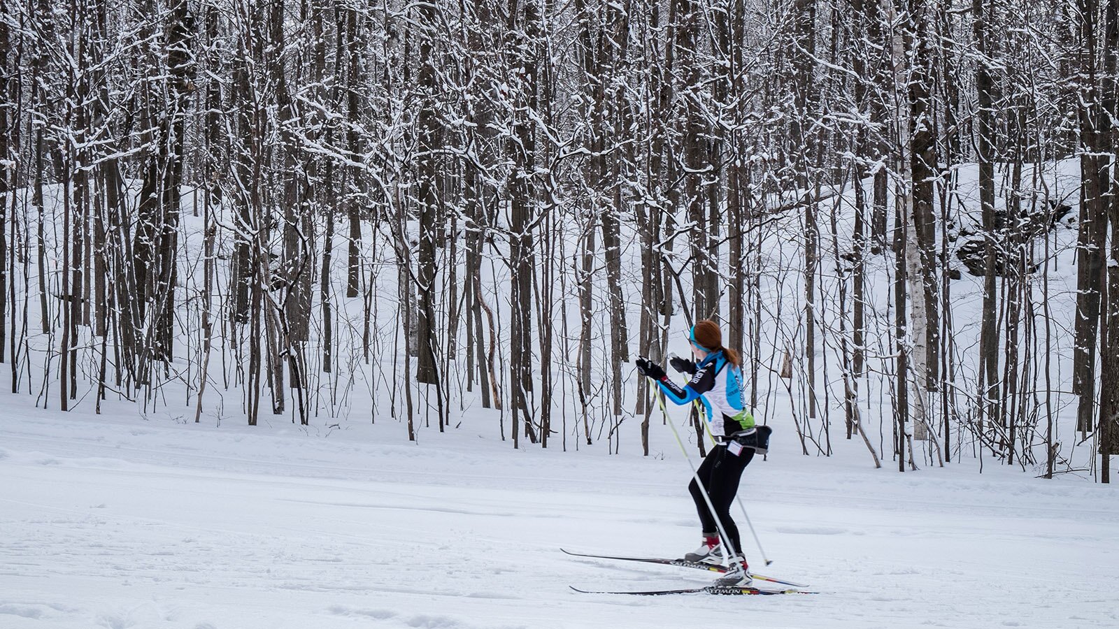 Zdjęcie przedstawia kobietę jadącą na nartach biegowych po trasie narciarskiej. Widoczna jest kobieta zwrócona w lewo, ubrana w czarne legginsy, niebiesko‑białą kurtkę sportową, buty  narciarskie, rękawice narciarskie, niebieską opaskę na włosach i gogle. Kobieta ma na biodrach założoną saszetkę, przesuniętą na plecy. Obie dłonie ma podniesione na wysokość barków i trzyma w nich  kijki narciarskie. W tle widoczne bezlistne drzewa przyprószone śniegiem.