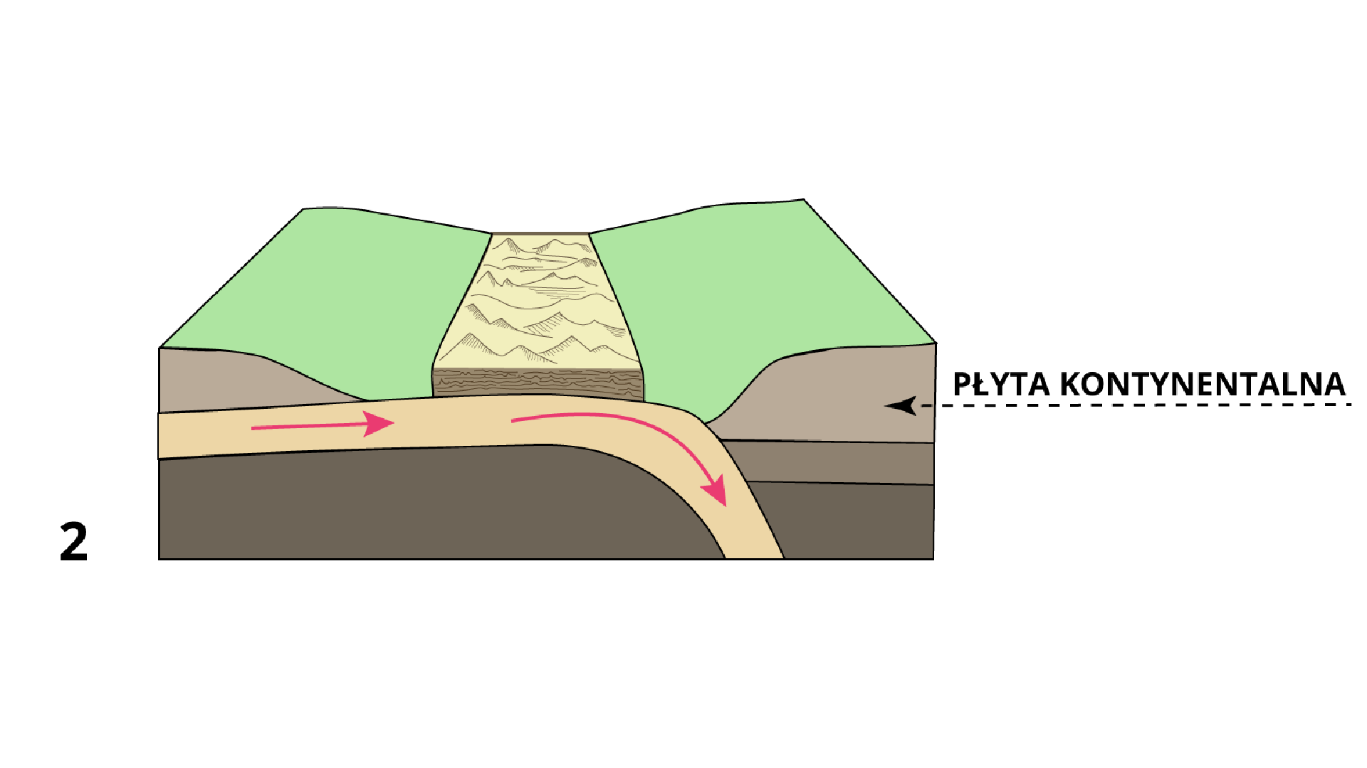 Ilustracja przedstawia przekrój. W górnej części przekroju jest wypiętrzone pasmo z licznymi wzniesieniami, a po jego bokach nieco wzniesiony teren zaznaczony kolorem zielonym. Pod spodem jest płyta kontynentalna. Płyta schodzi w dół, w głąb ziemi, w miejscu końca pasma wypiętrzonego, graniczącego z terenem wzniesionym. Płyta ściera się z równoległymi warstwami leżącymi po jej prawej stronie. 