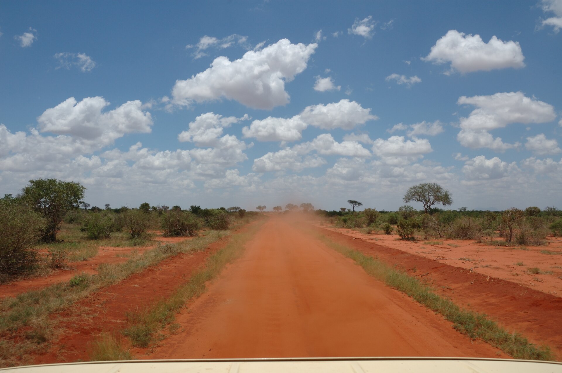 Fotografia przedstawiająca pomarańczową, nieutwardzoną drogę. Unosi się nad nią dużo pyłu. Po bokach teren płaski, suchy, porośnięty drzewami i krzewami.