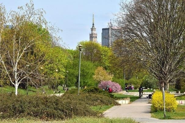 Zdjęcie przedstawia park, w którym jest deptak. Wokół niego rosną krzewy i drzewa. W oddali Pałac Kultury i Nauki i wieżowiec.  