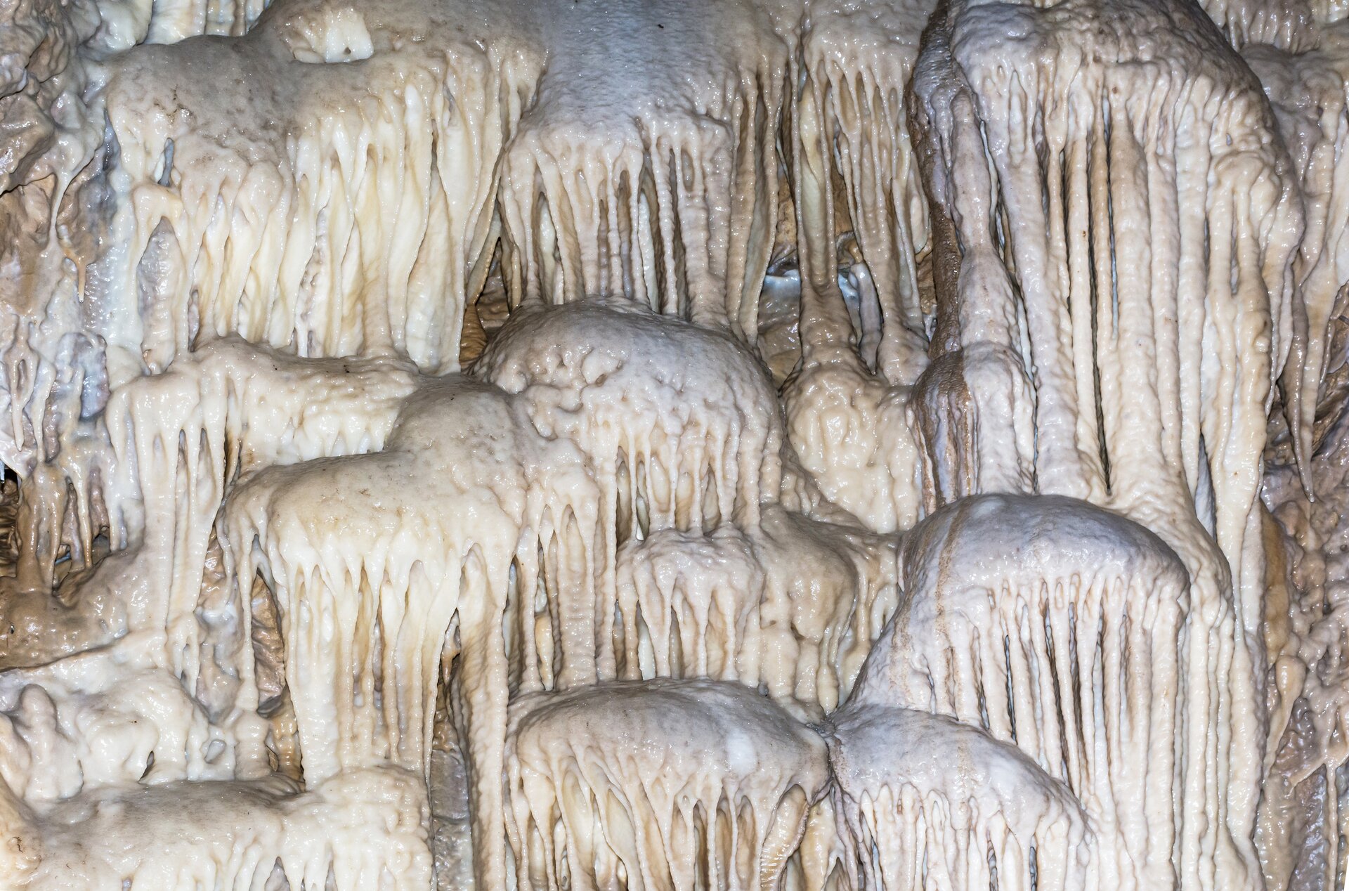 Na zdjęciu znajdują się nacieki skalne o biało-kremowym zabarwieniu. Mają kształty kopułowe, z bardzo wieloma długimi strukturami podobnymi do sopli.  