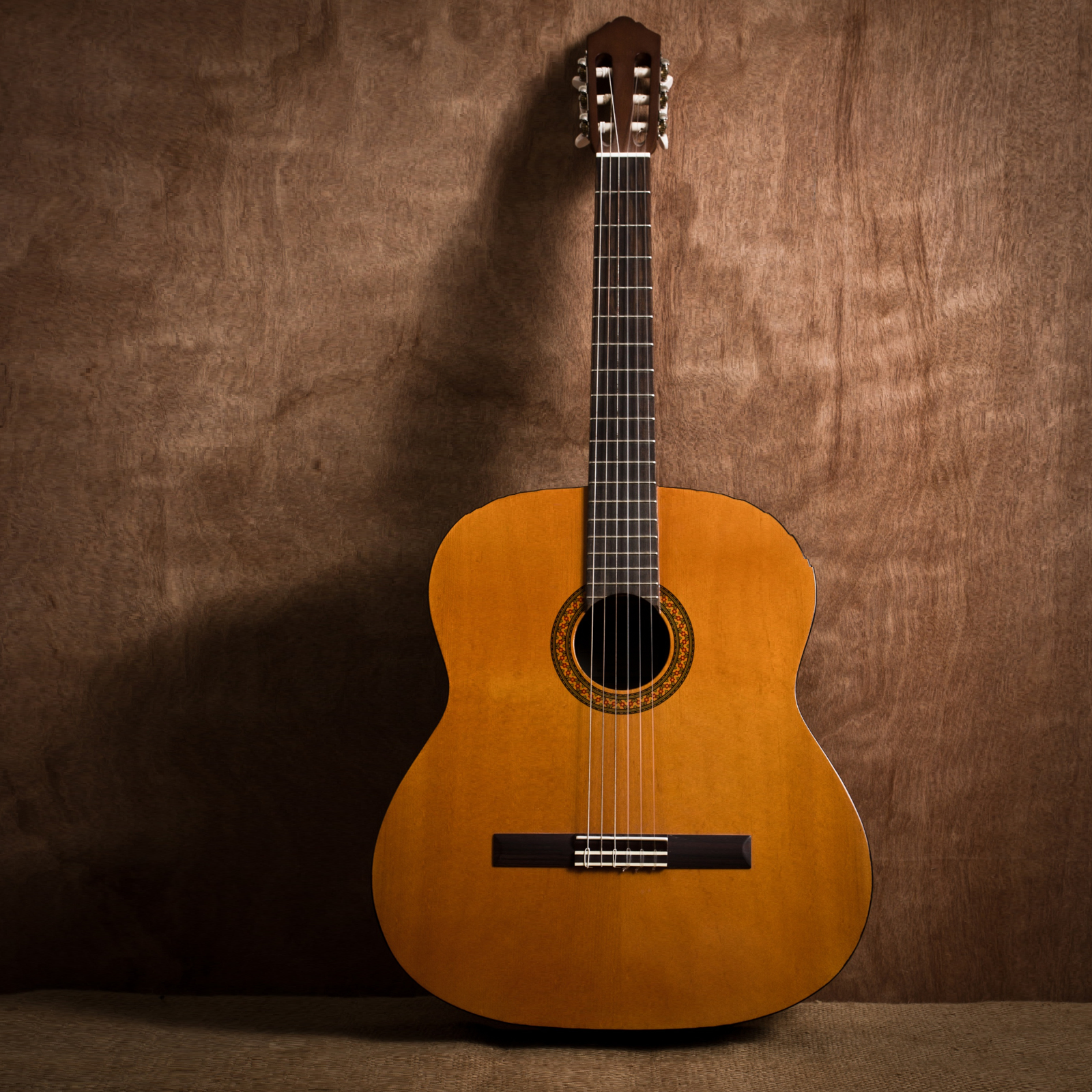 Ilustracja przedstawia gitarę akustyczną, opartą o drewnianą ścianę. 